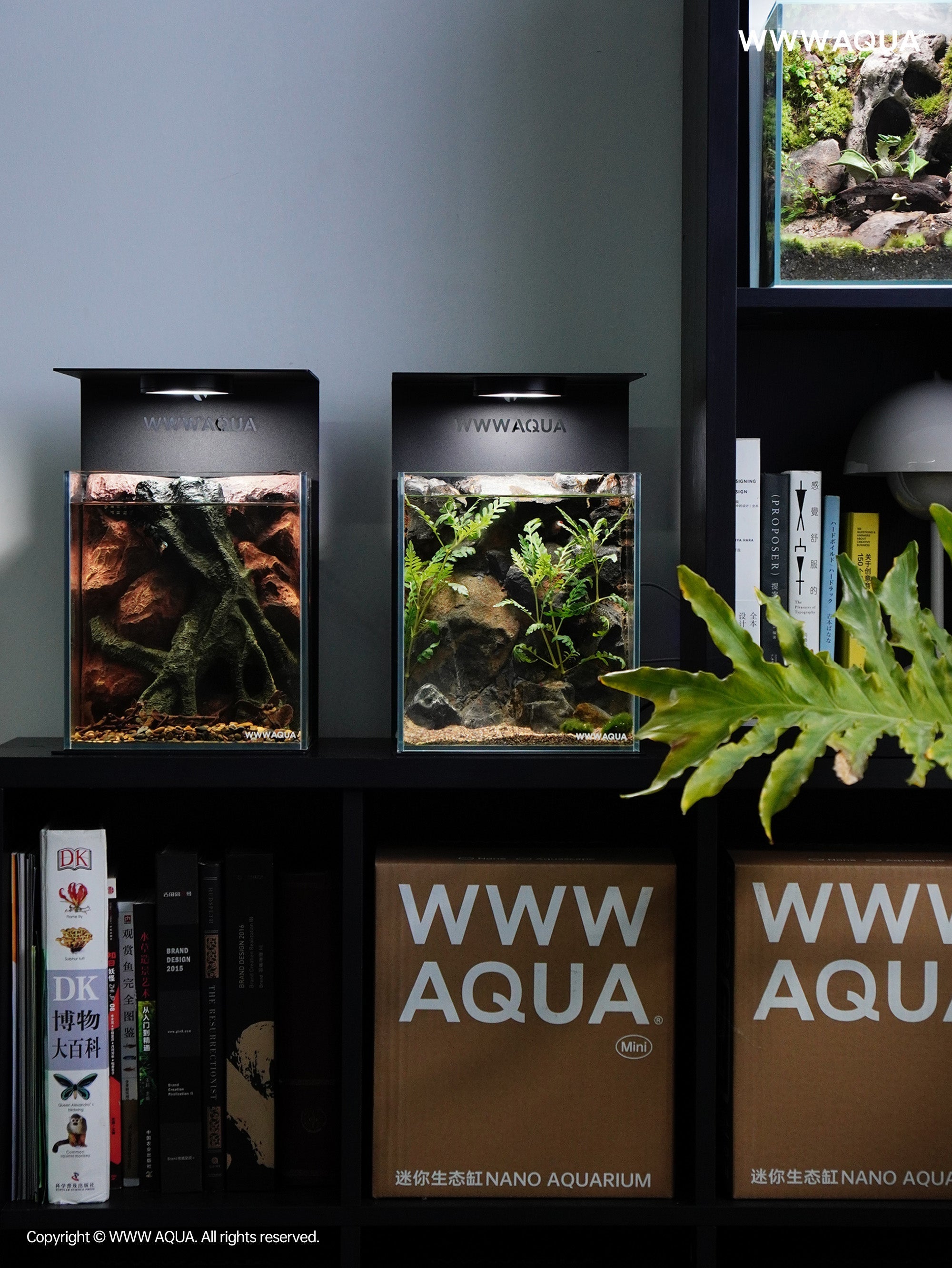 WWWAQUA Expands Internationally – From Asia’s Success to a Global Calm Movement - WWWAQUA