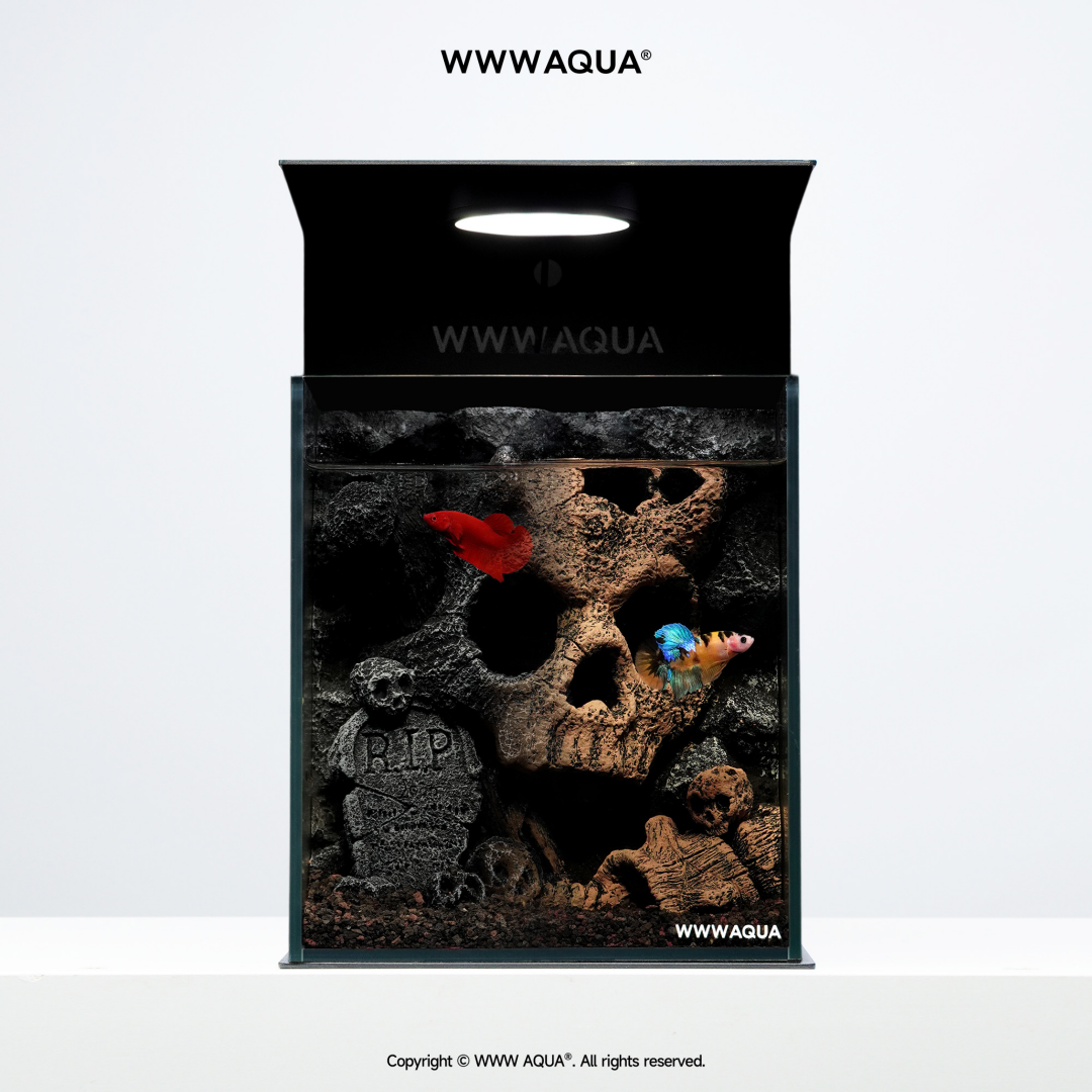 WWWAQUA|Skull Hollow