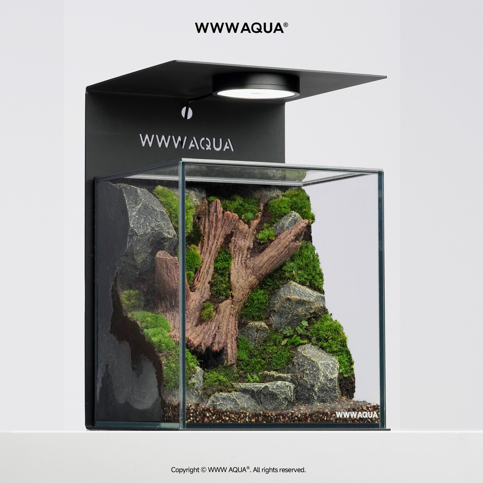 WWWAQUA|Emerald Hollow