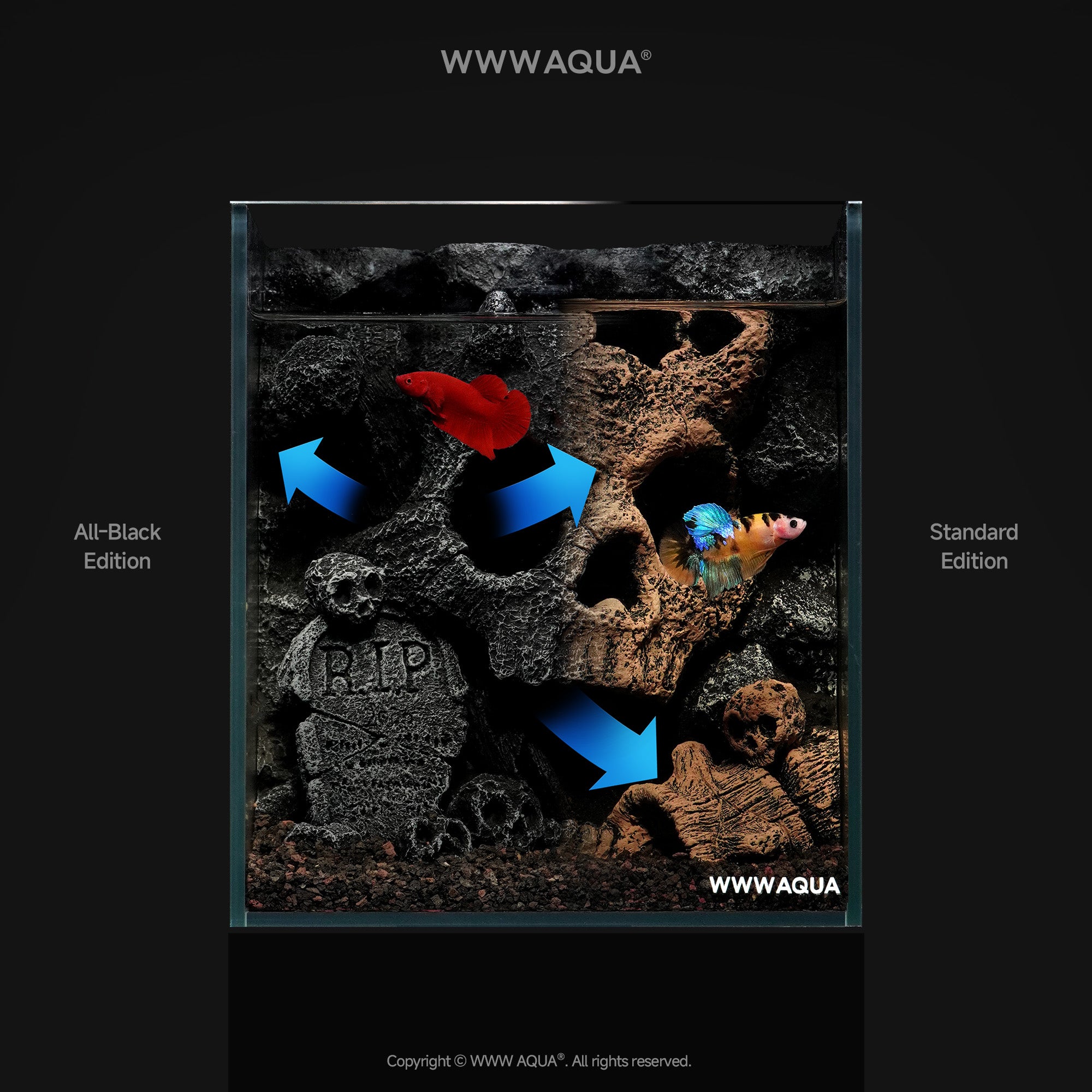 WWWAQUA|Skull Hollow