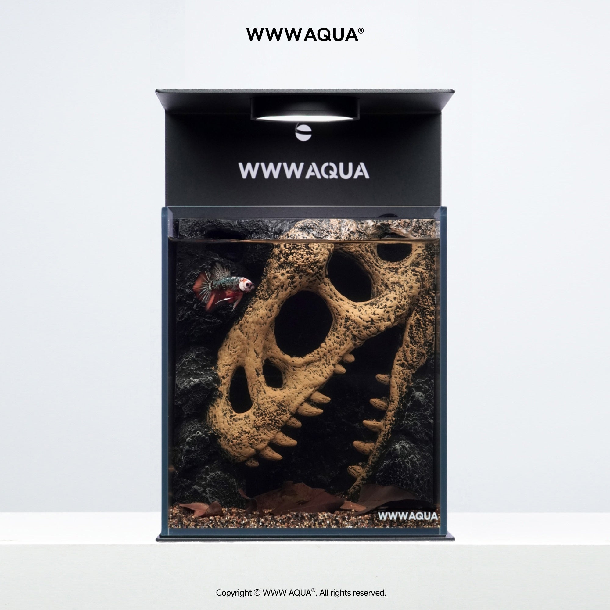 WWWAQUA|Echo of the Ancients