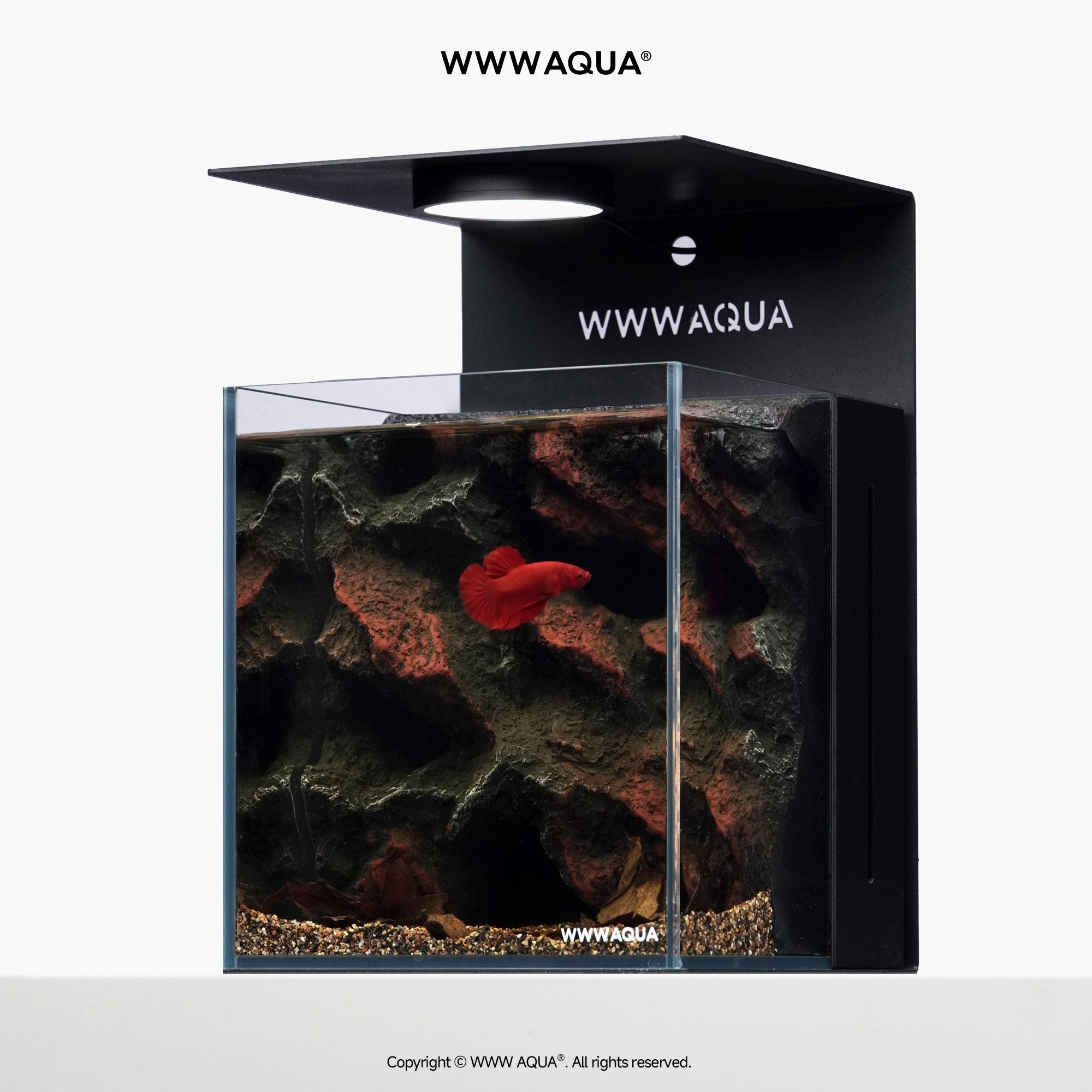 WWWAQUA|Ashfall Silence | Artistic Mini Aquarium | WWWAQUA