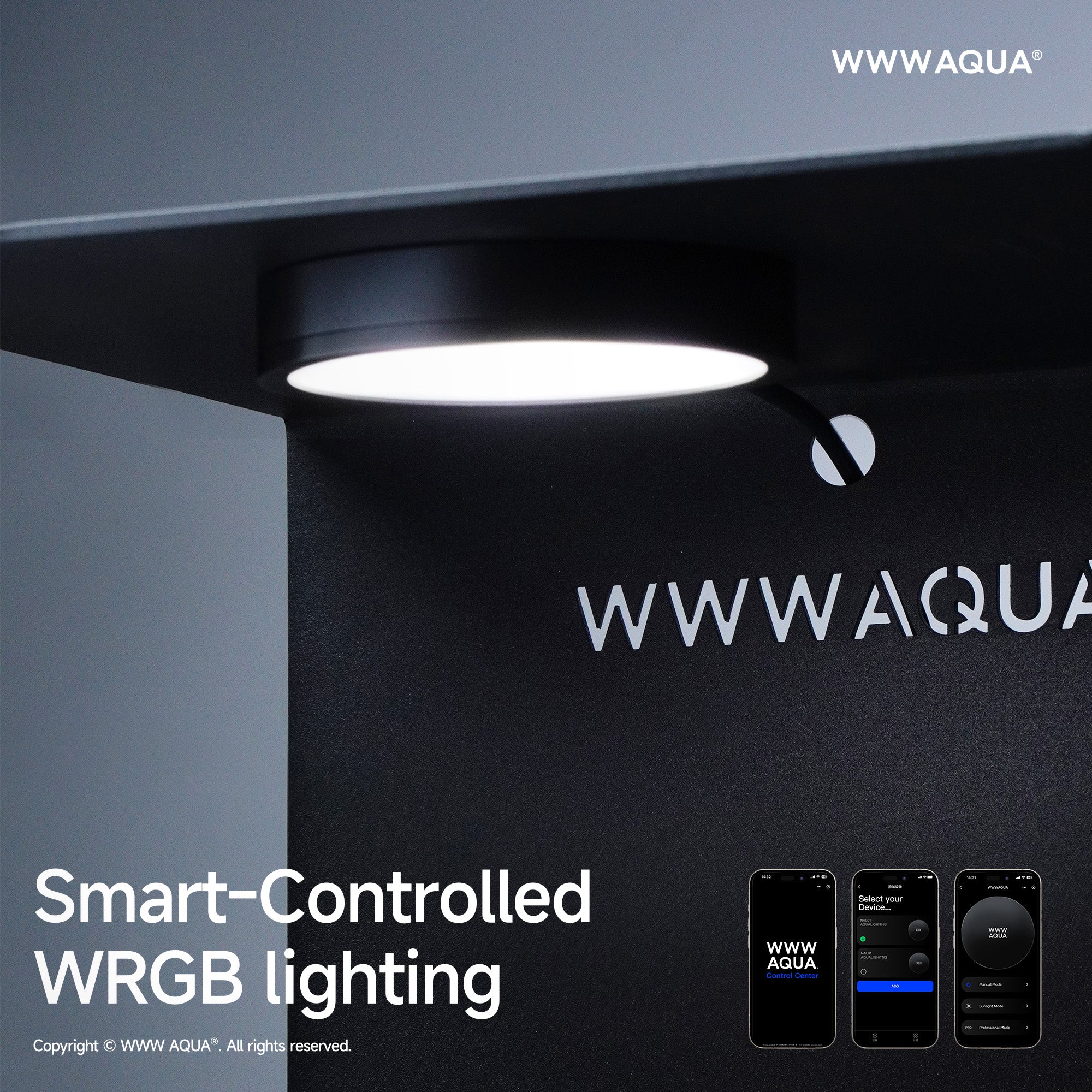 WWWAQUA|Ashfall Silence | Artistic Mini Aquarium | WWWAQUA