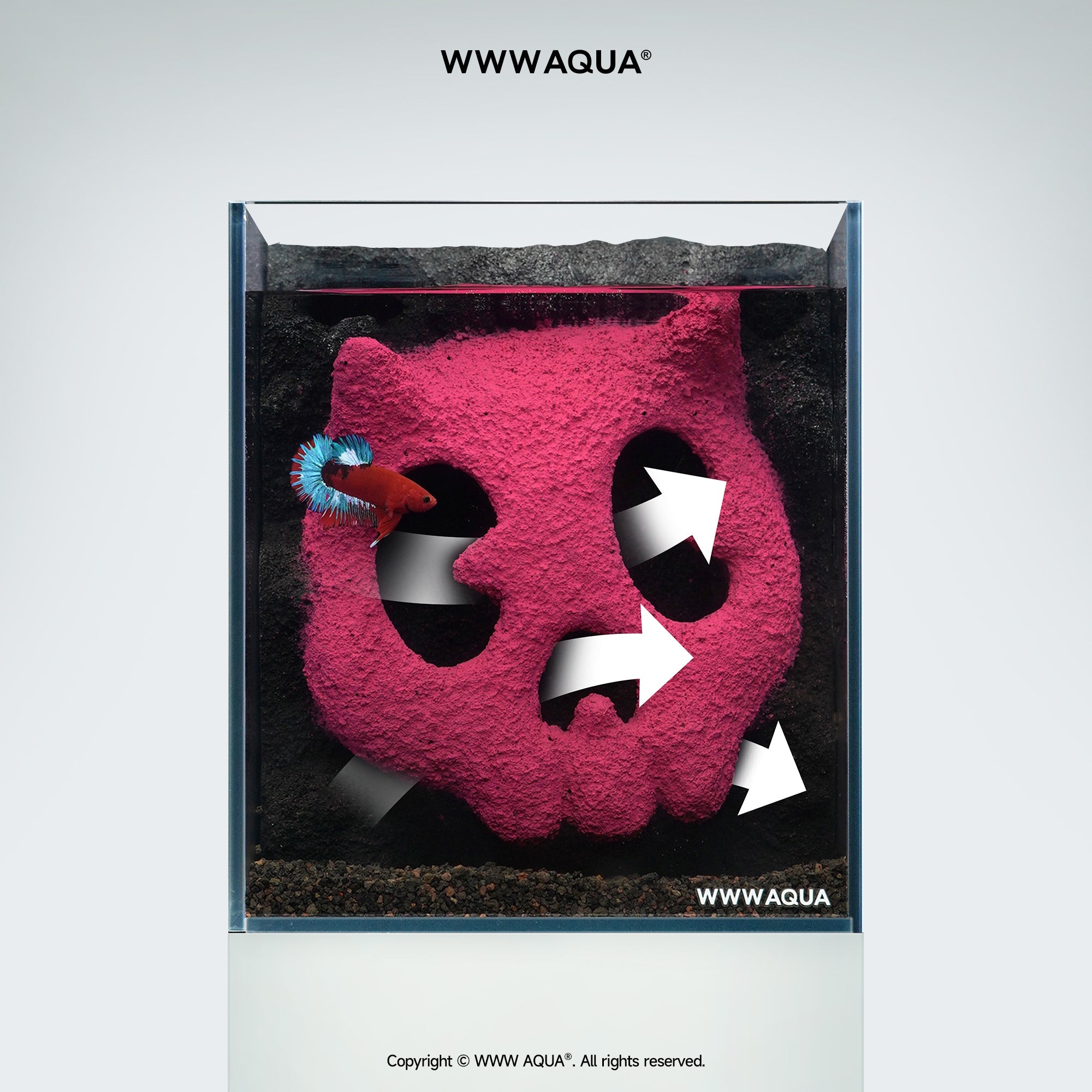 WWWAQUA|Bonbobo | Artistic Mini Aquarium | WWWAQUA