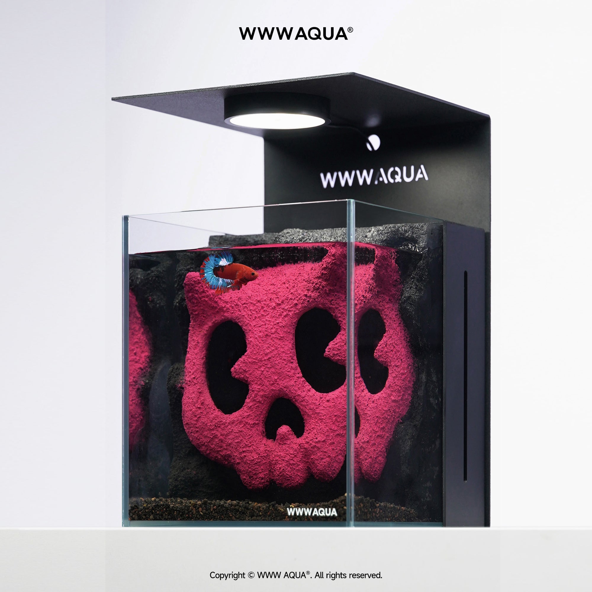 WWWAQUA|Bonbobo | Artistic Mini Aquarium | WWWAQUA