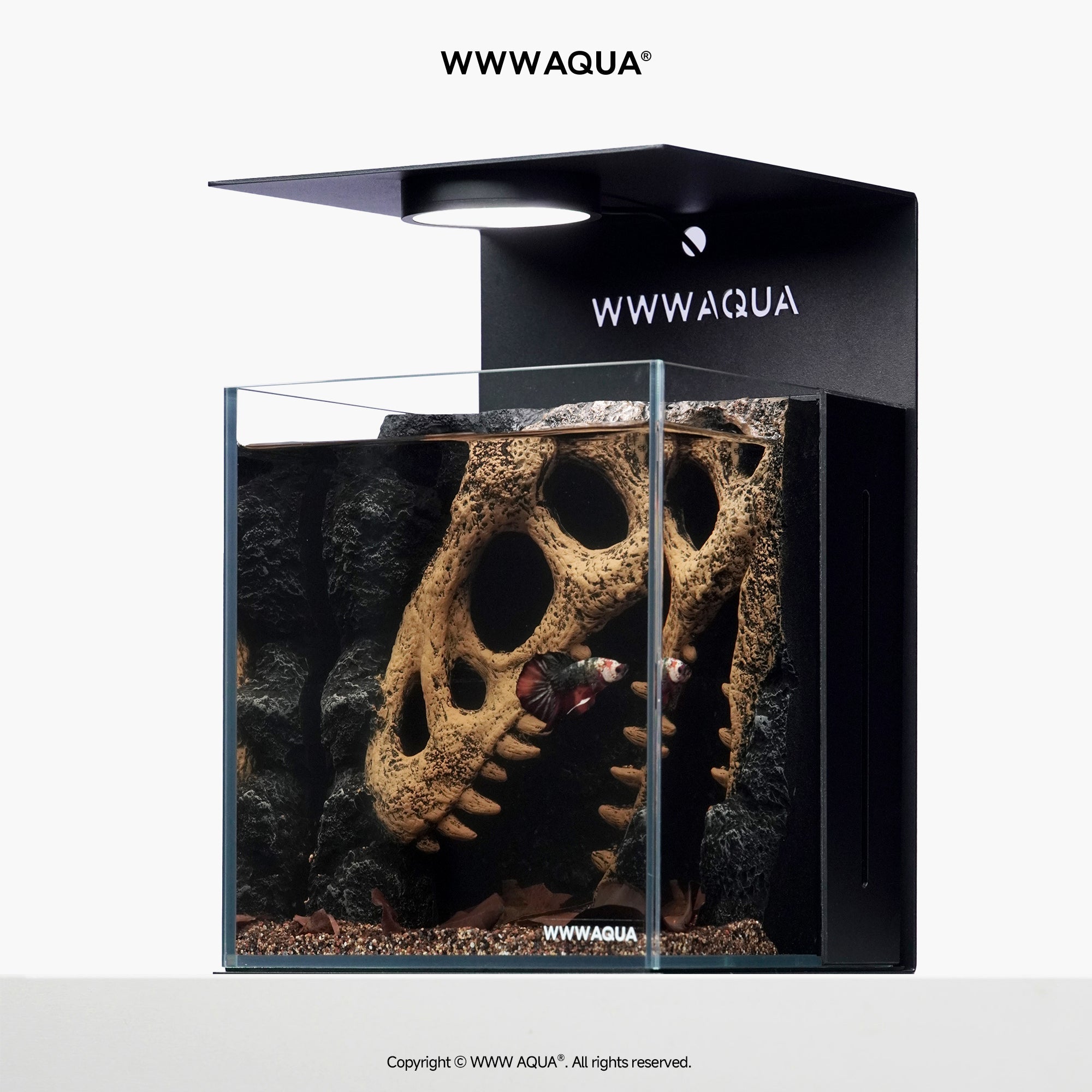 WWWAQUA|Echo of the Ancients | Artistic Mini Aquarium | WWWAQUA