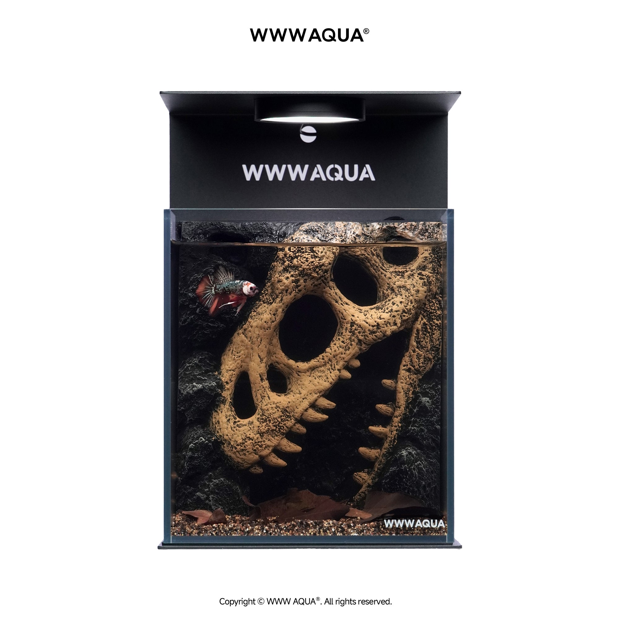 WWWAQUA|Echo of the Ancients | Artistic Mini Aquarium | WWWAQUA