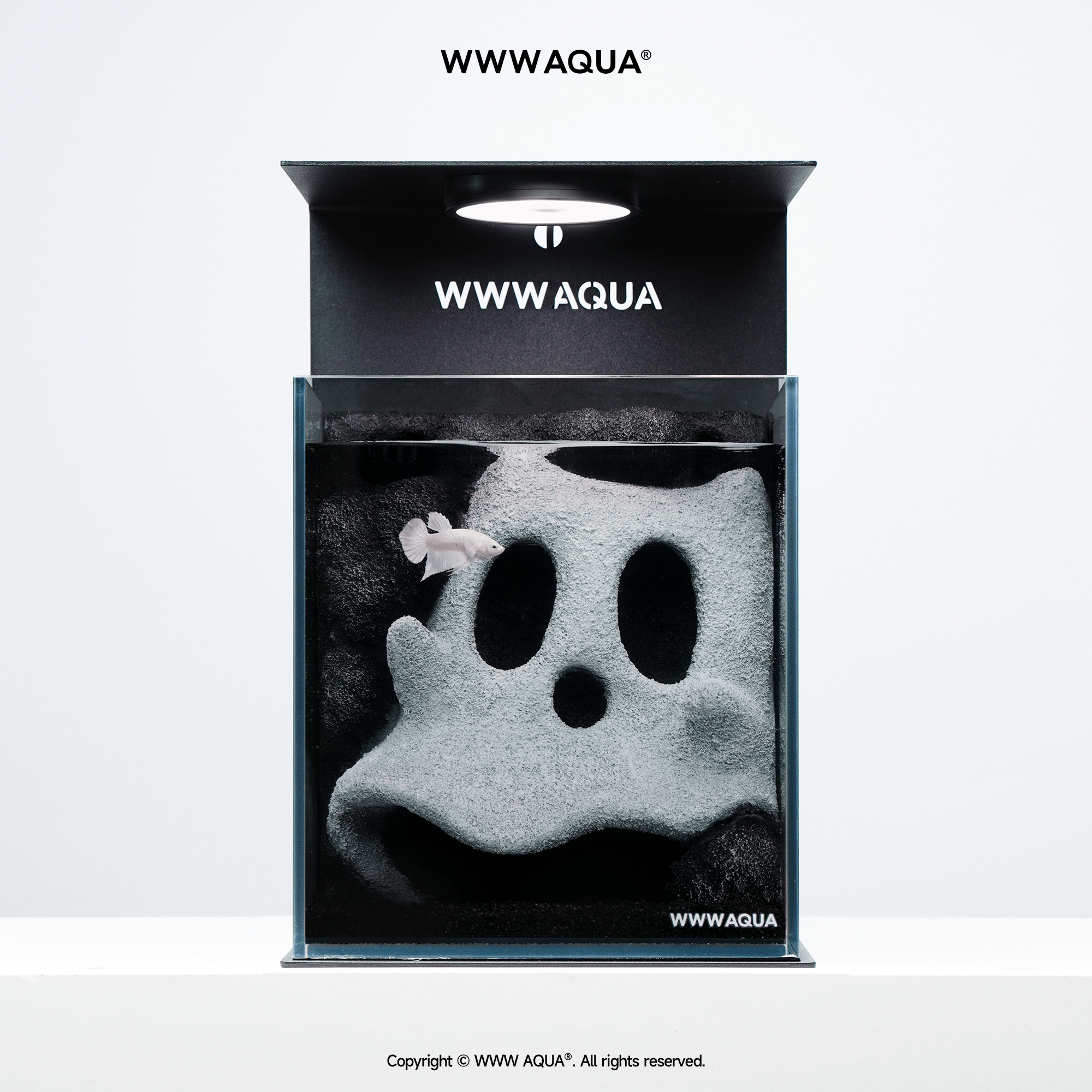 WWWAQUA|Ghostlet | Artistic Mini Aquarium | WWWAQUA