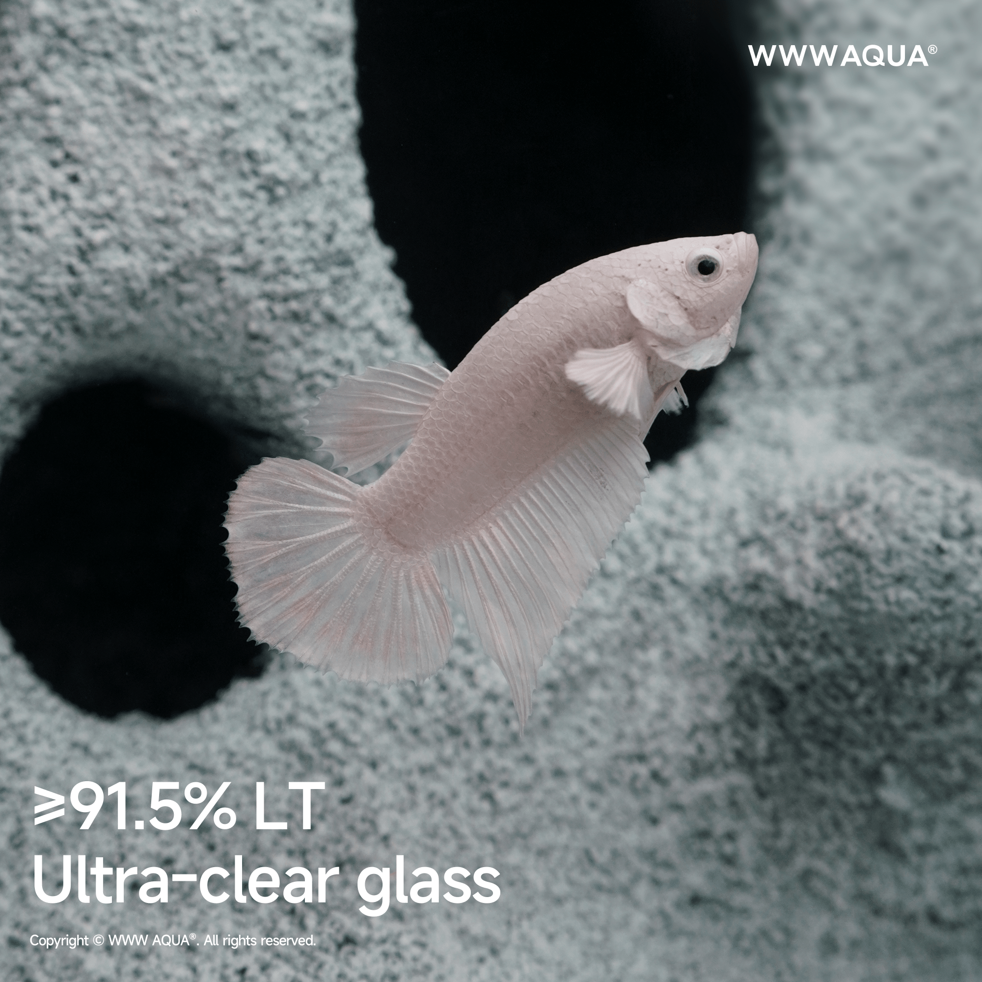 WWWAQUA|Ghostlet | Artistic Mini Aquarium | WWWAQUA