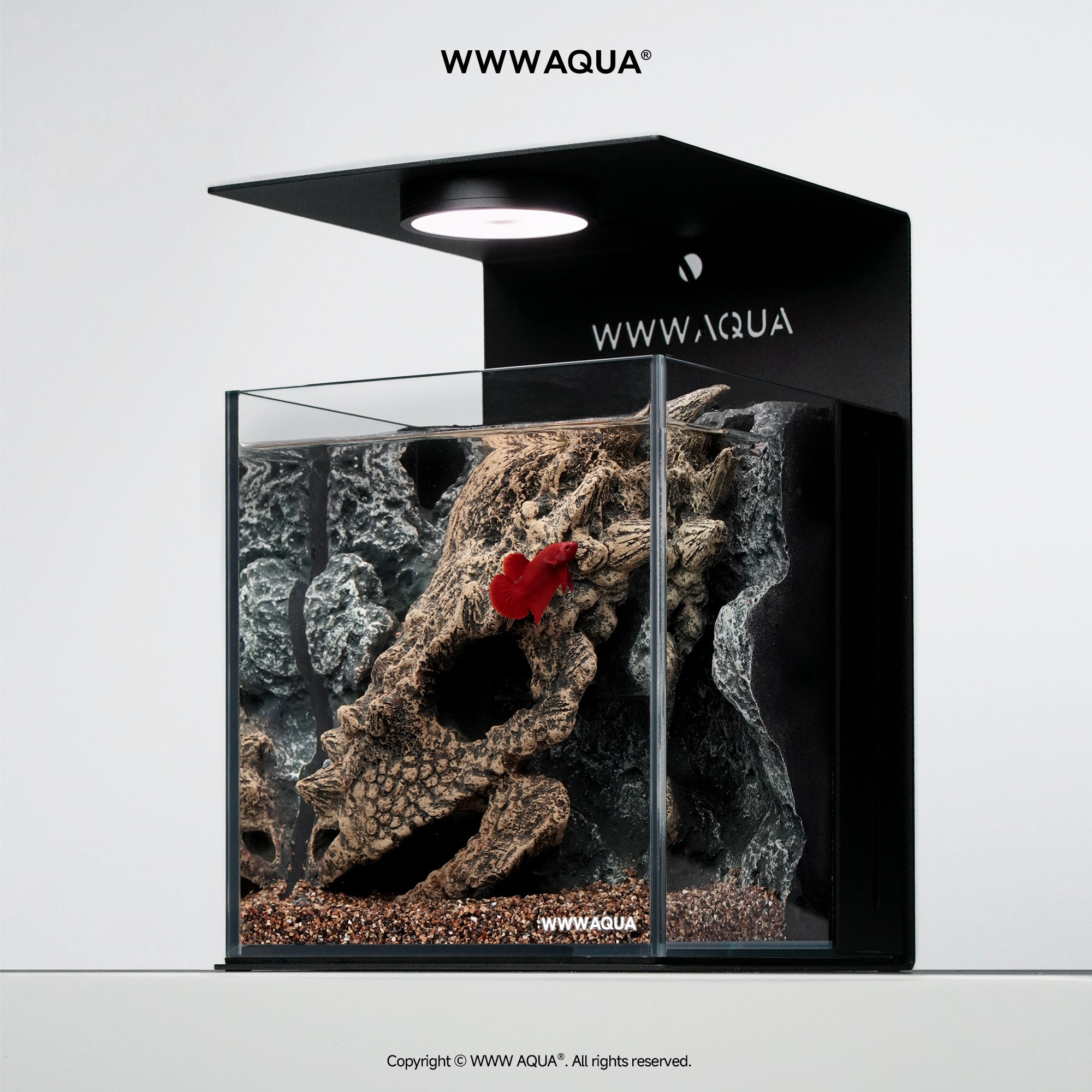 WWWAQUA|Guardian Fossil | Artistic Mini Aquarium | WWWAQUA