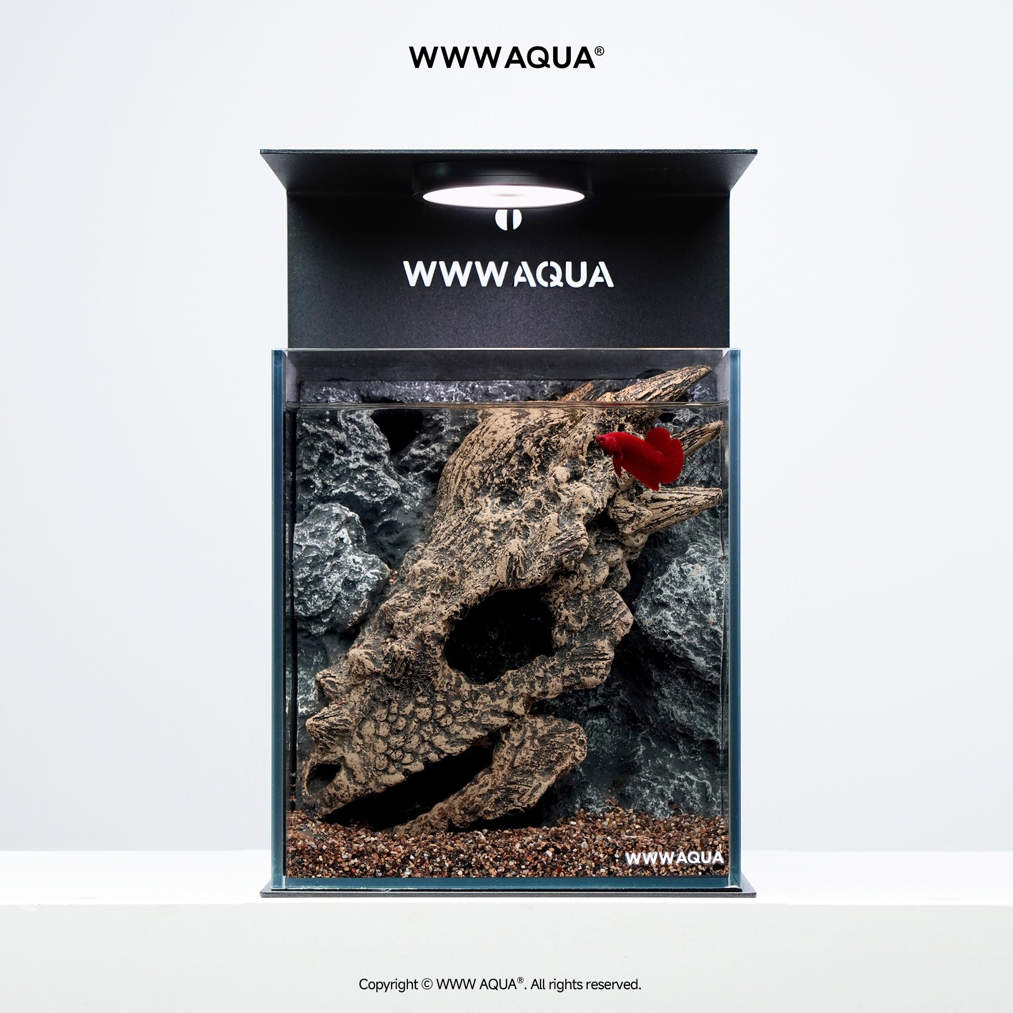 WWWAQUA|Guardian Fossil | Artistic Mini Aquarium | WWWAQUA