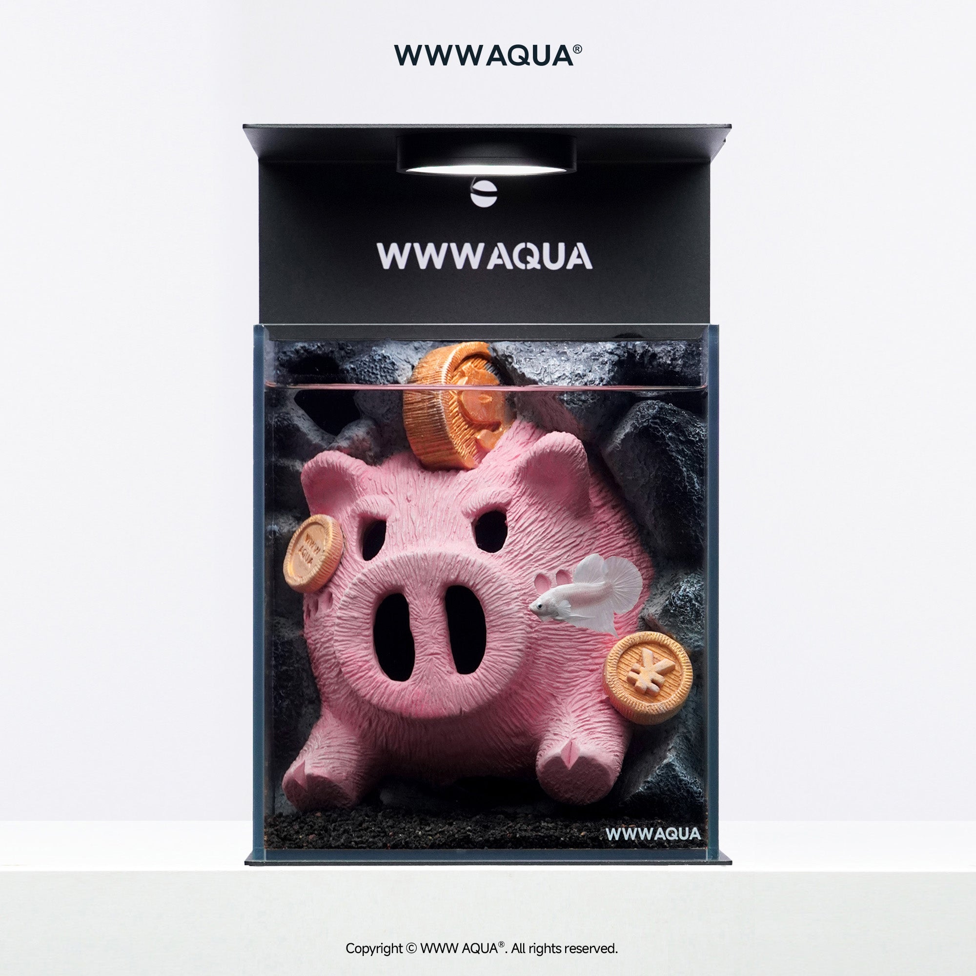 WWWAQUA|Lucky Piglet | Artistic Mini Aquarium | WWWAQUA