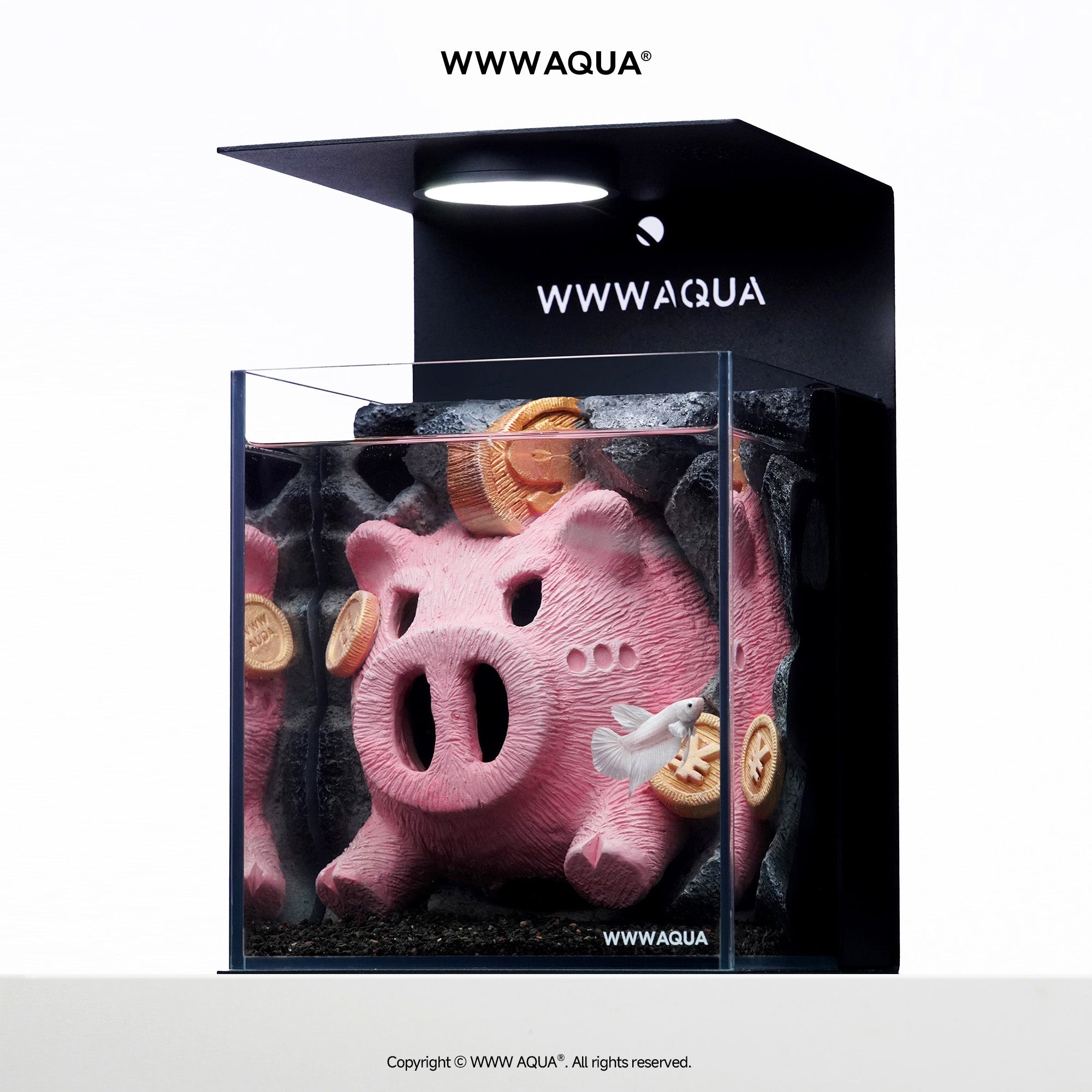 WWWAQUA|Lucky Piglet | Artistic Mini Aquarium | WWWAQUA