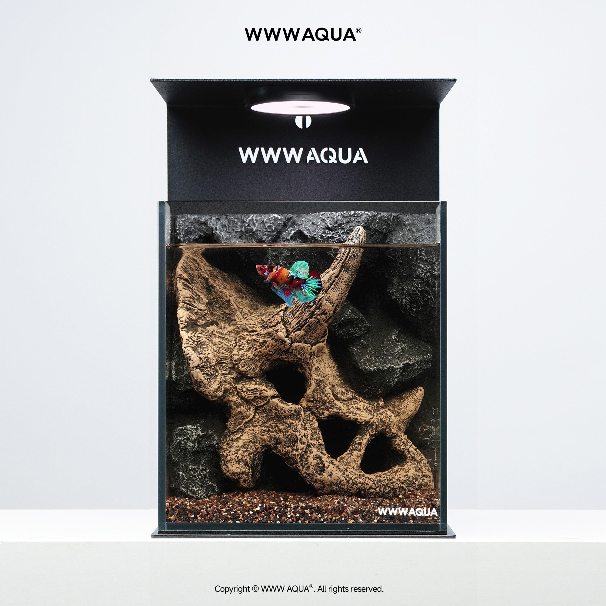 WWWAQUA|Petal Fossil | Artistic Mini Aquarium | WWWAQUA