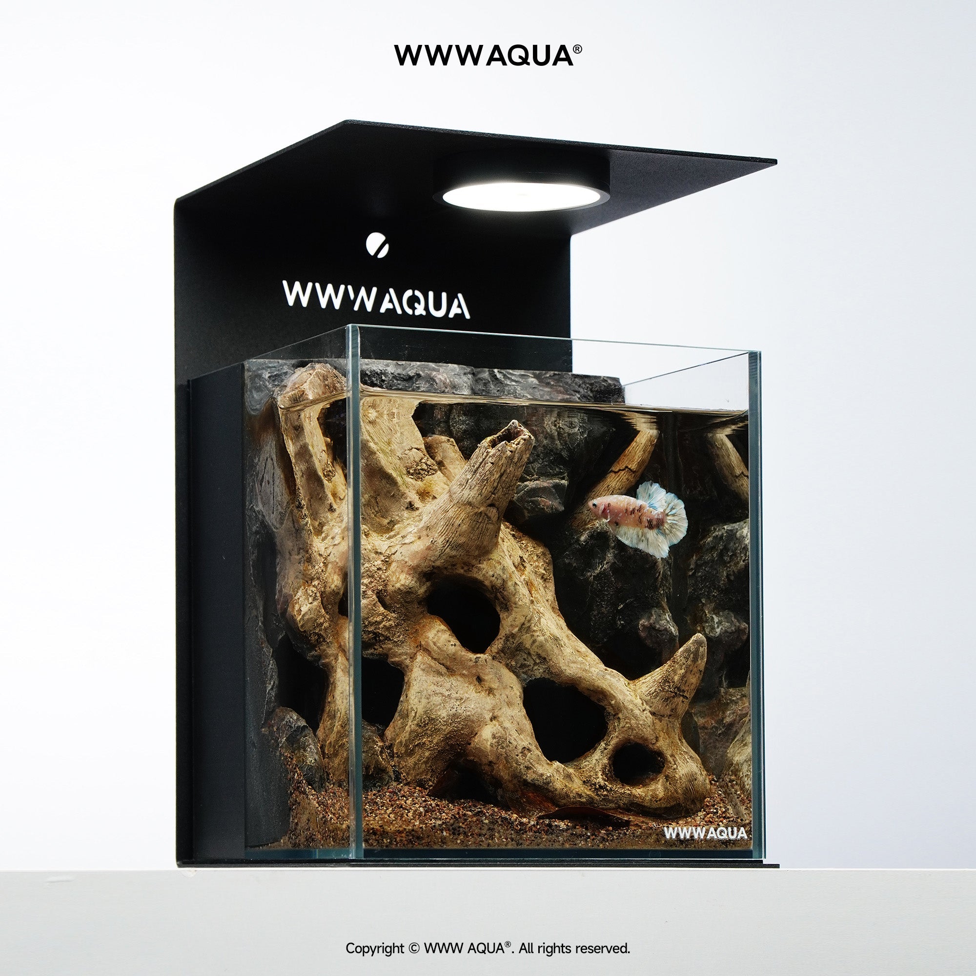 WWWAQUA|Petal Fossil | Artistic Mini Aquarium | WWWAQUA