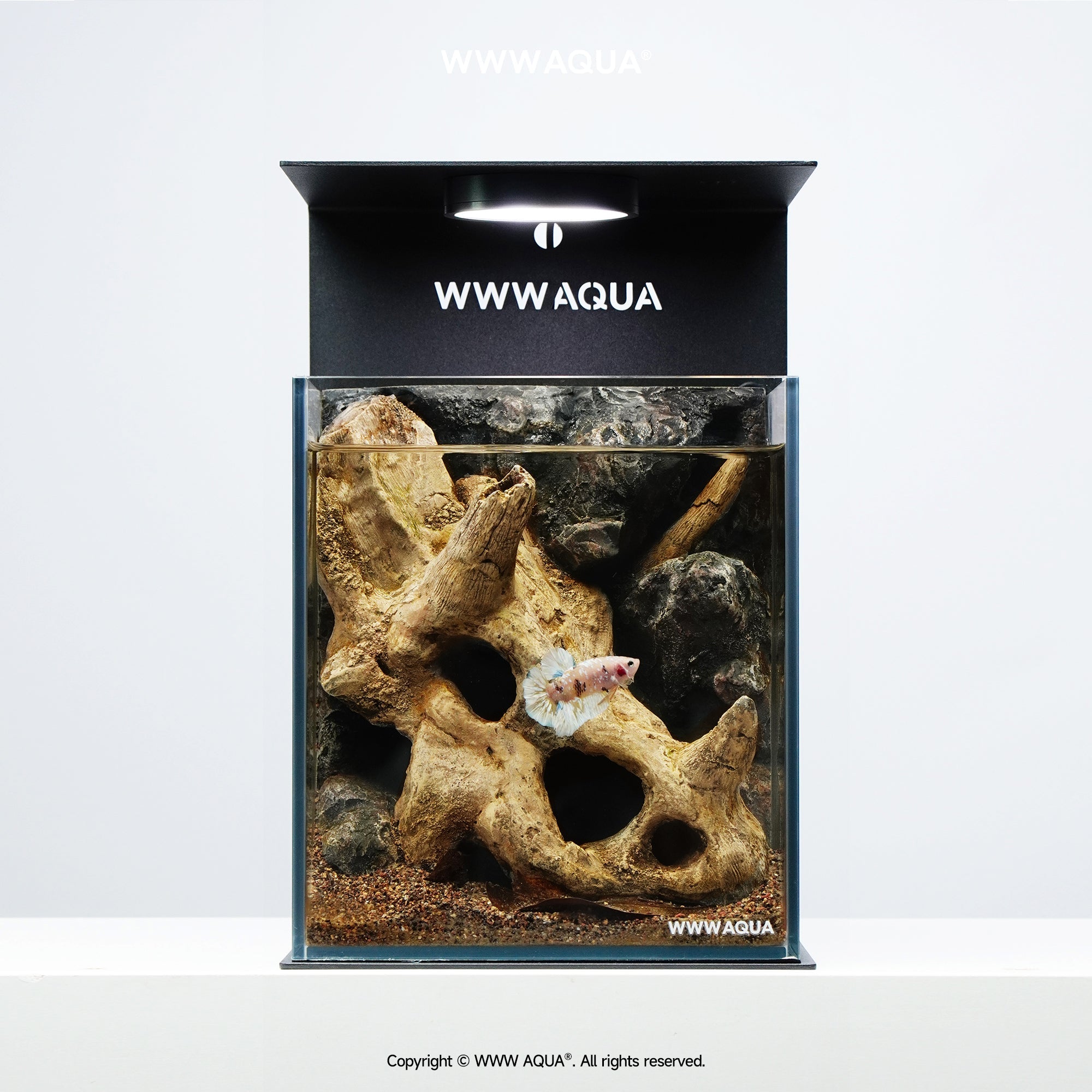 WWWAQUA|Petal Fossil | Artistic Mini Aquarium | WWWAQUA