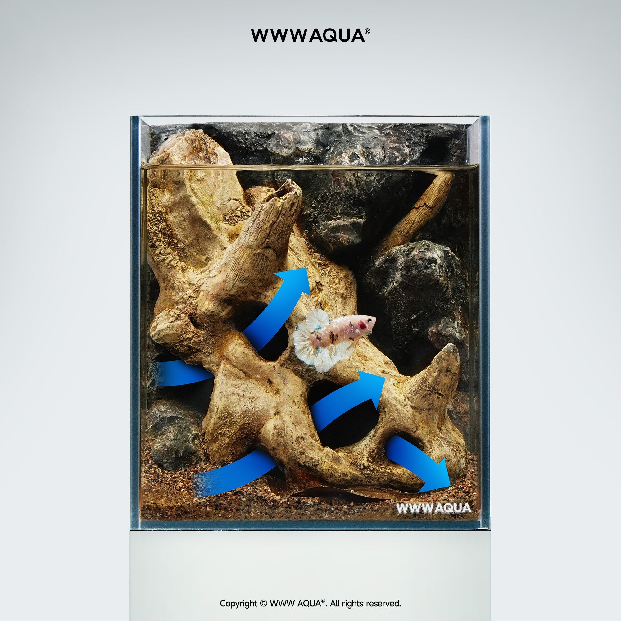 WWWAQUA|Petal Fossil | Artistic Mini Aquarium | WWWAQUA