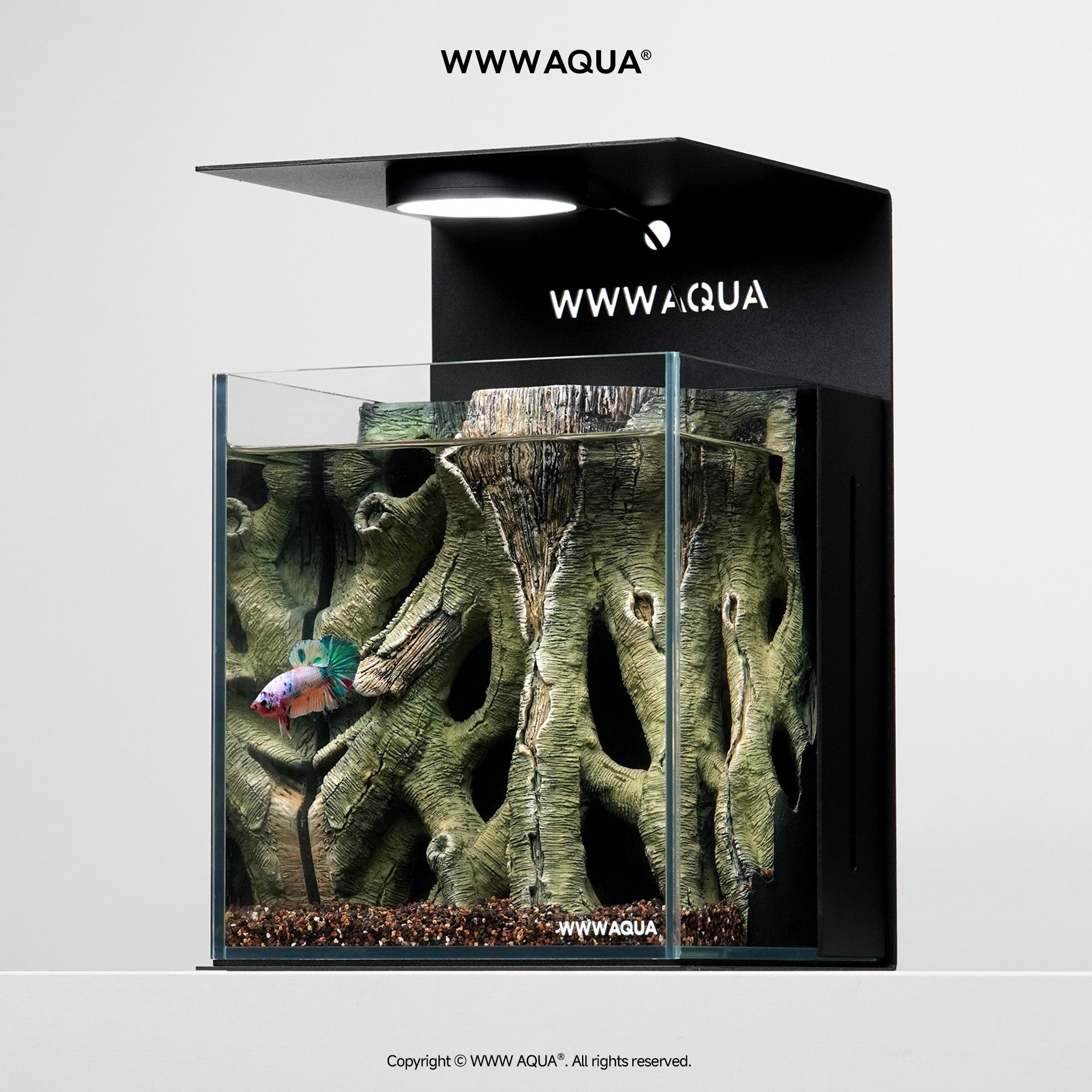 WWWAQUA|Veins of the Grove | Artistic Mini Aquarium | WWWAQUA