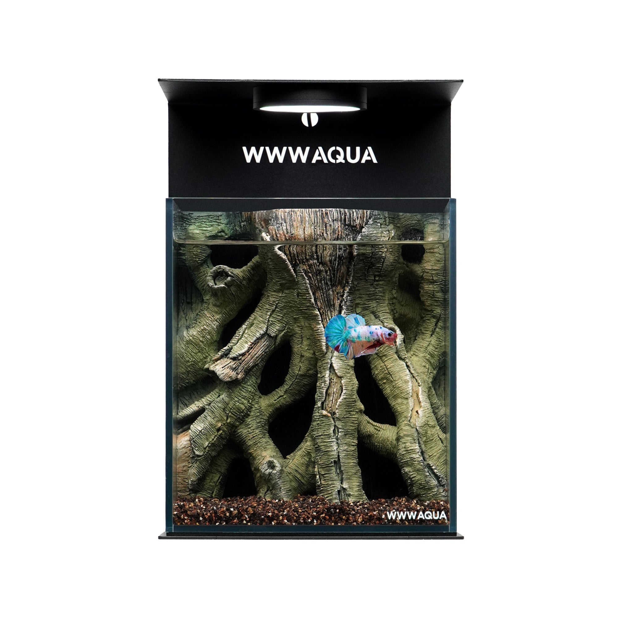 WWWAQUA|Veins of the Grove | Artistic Mini Aquarium | WWWAQUA