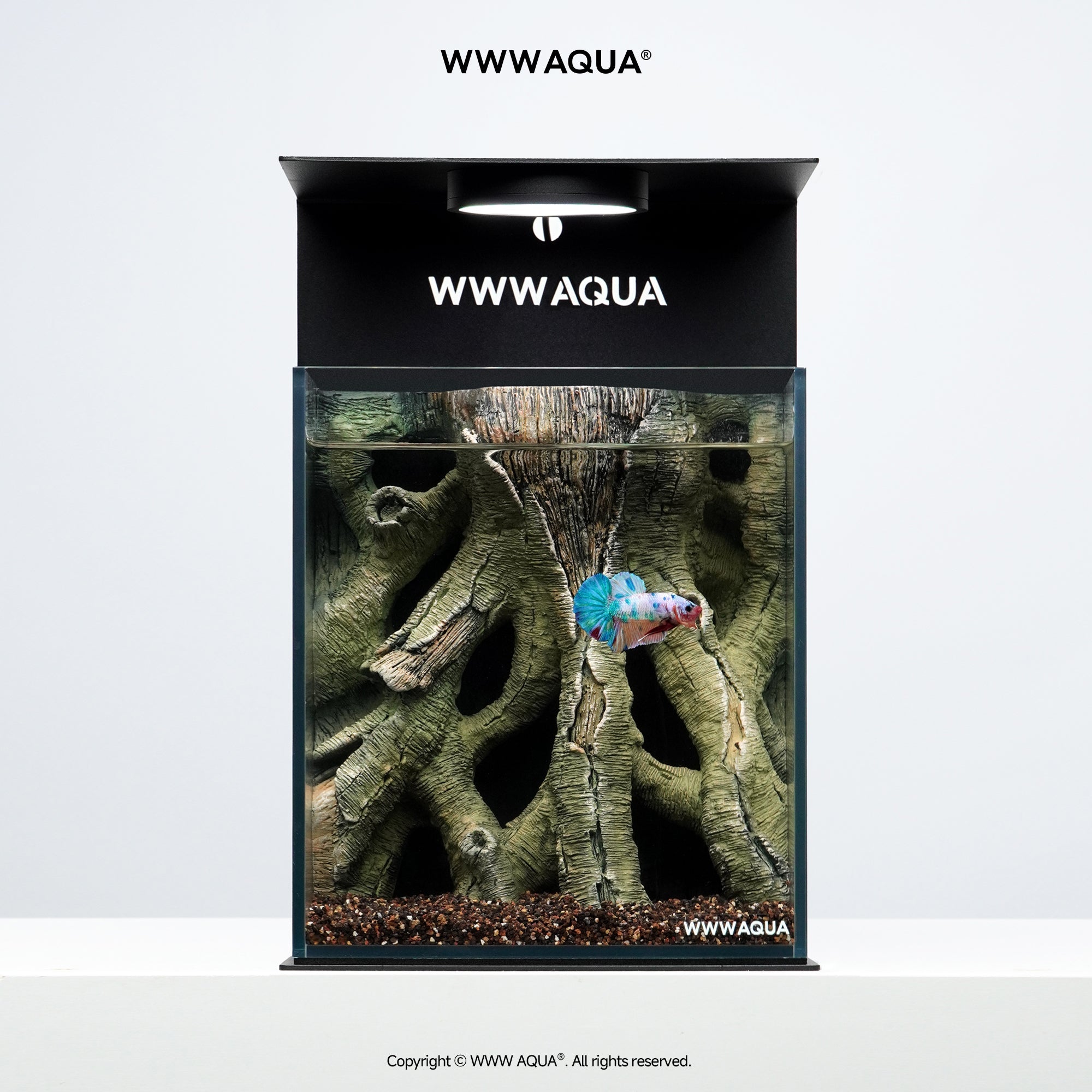 WWWAQUA|Veins of the Grove | Artistic Mini Aquarium | WWWAQUA