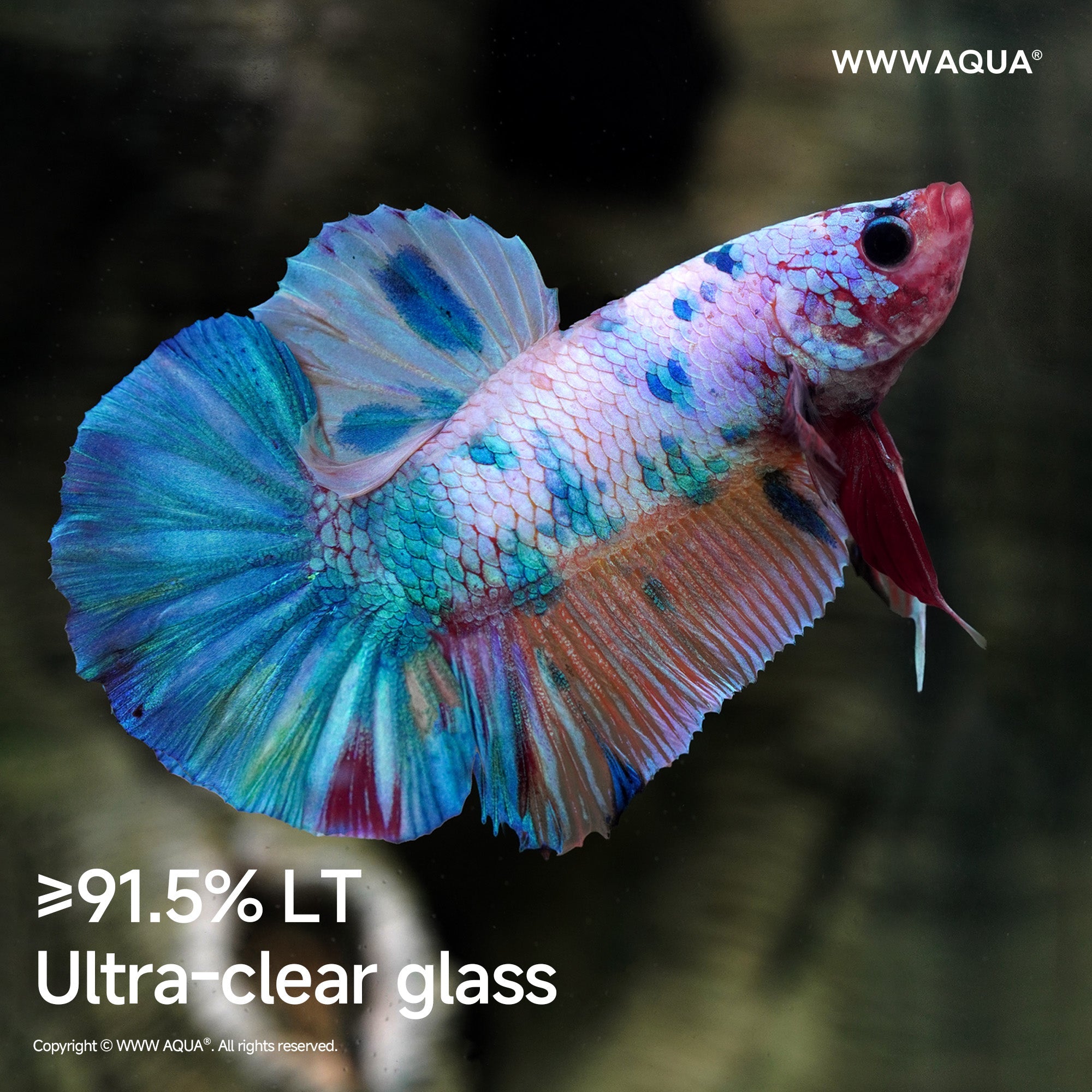 WWWAQUA|Veins of the Grove | Artistic Mini Aquarium | WWWAQUA