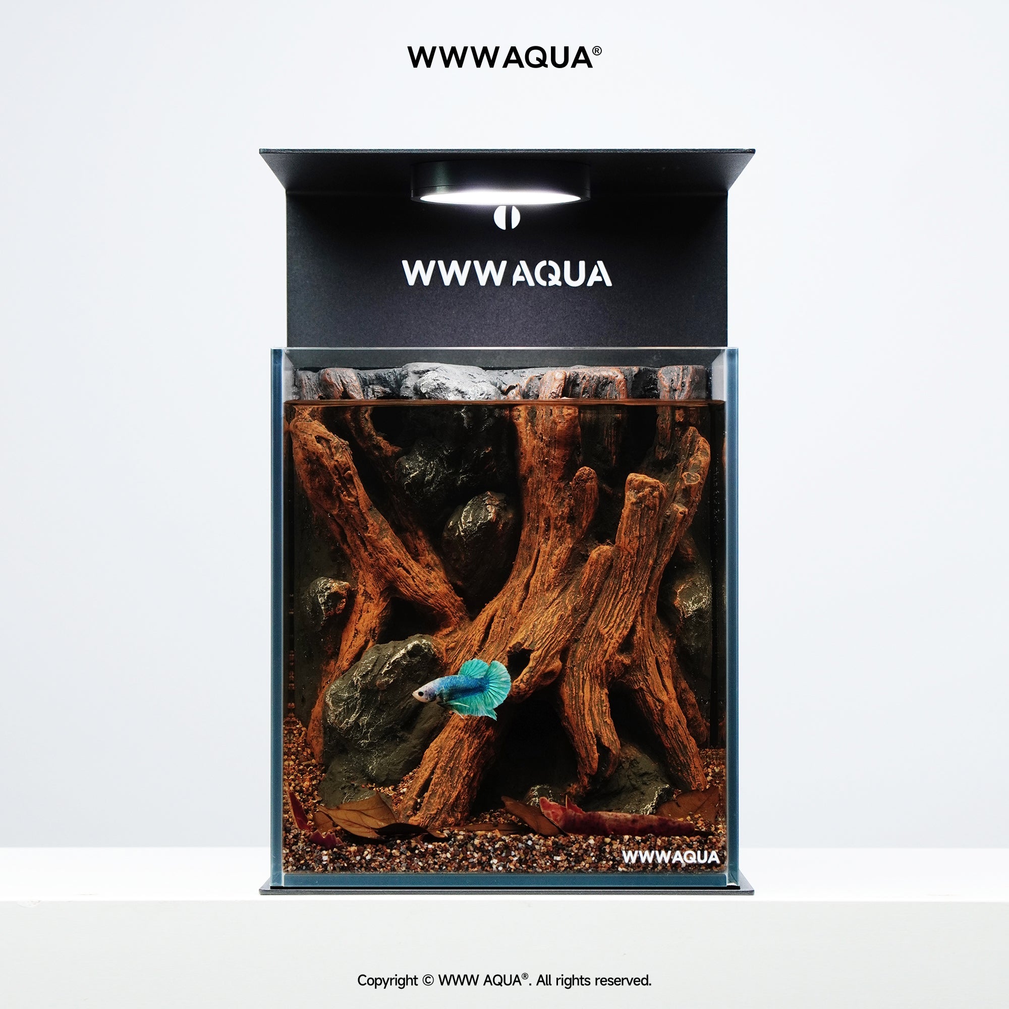 WWWAQUA|Whispers of Hollowroot | Artistic Mini Aquarium | WWWAQUA