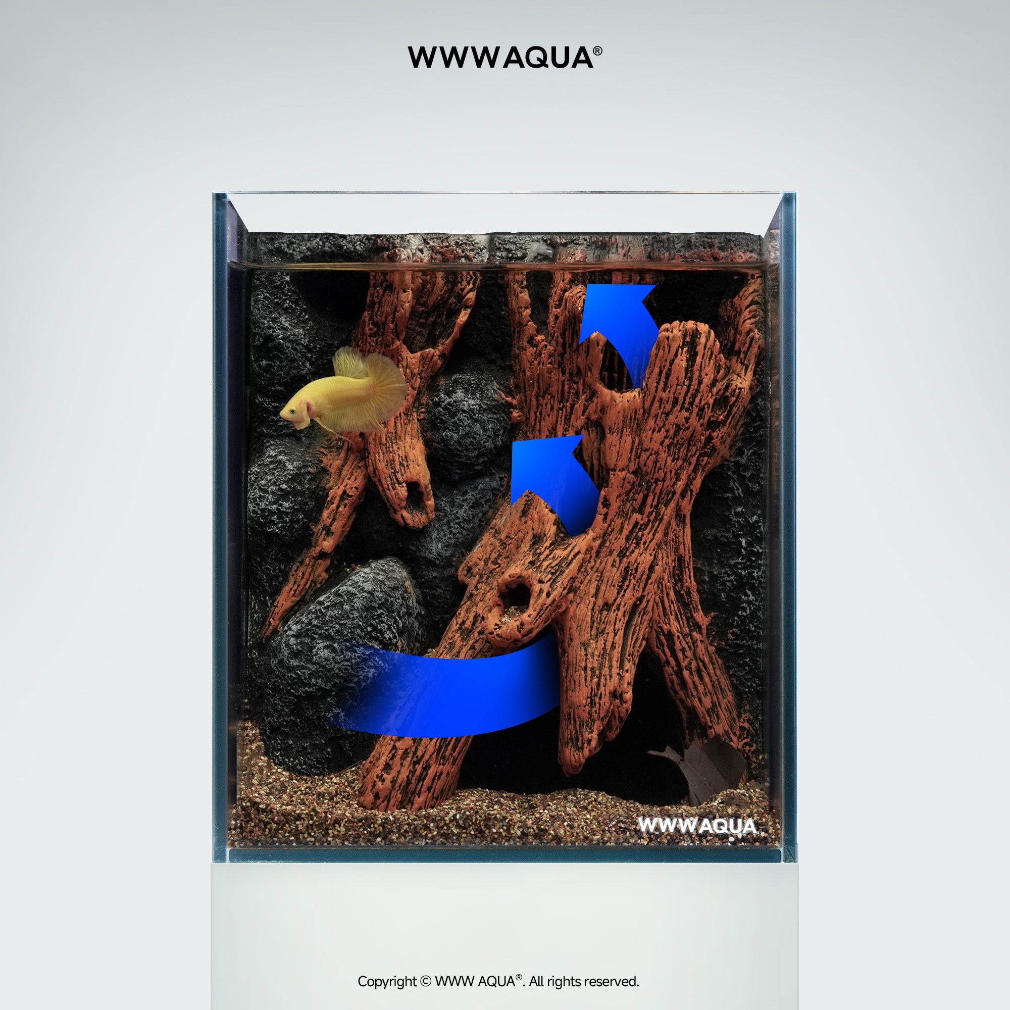 WWWAQUA|Whispers of Hollowroot | Artistic Mini Aquarium | WWWAQUA