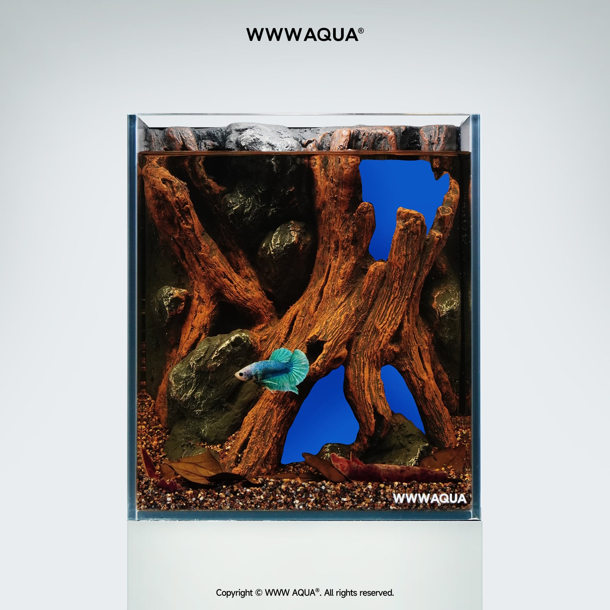 WWWAQUA|Whispers of Hollowroot | Artistic Mini Aquarium | WWWAQUA