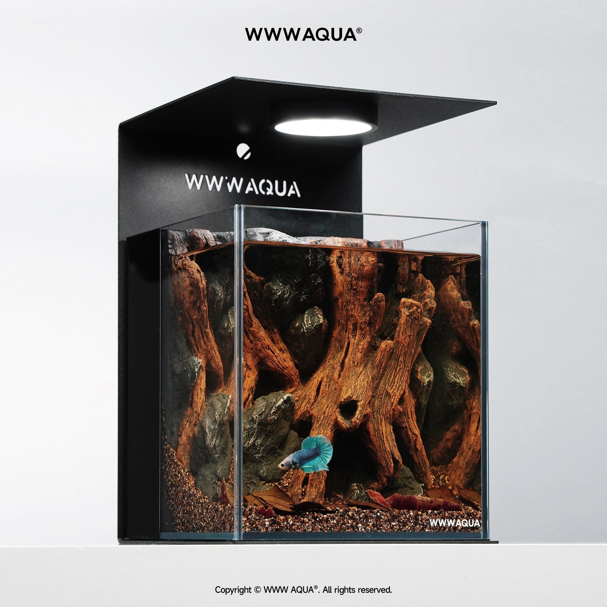 WWWAQUA|Whispers of Hollowroot | Artistic Mini Aquarium | WWWAQUA