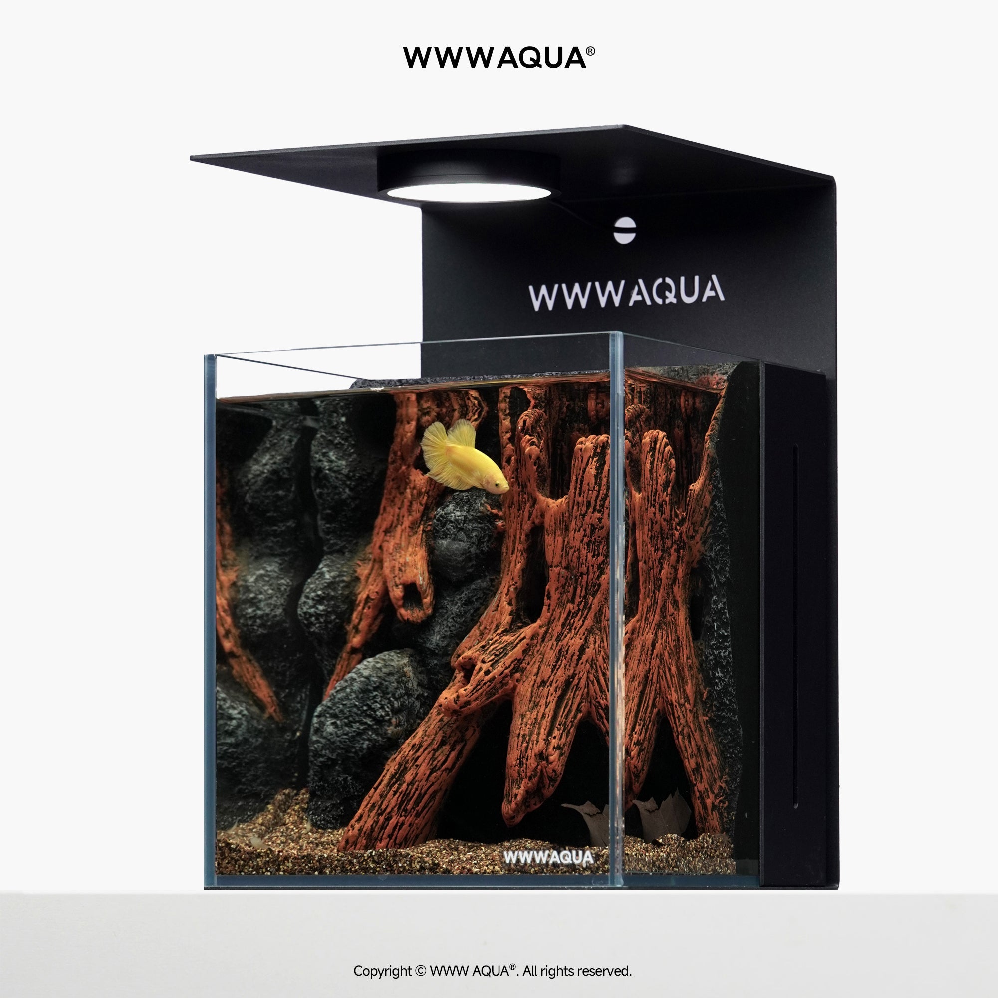 WWWAQUA|Whispers of Hollowroot | Artistic Mini Aquarium | WWWAQUA
