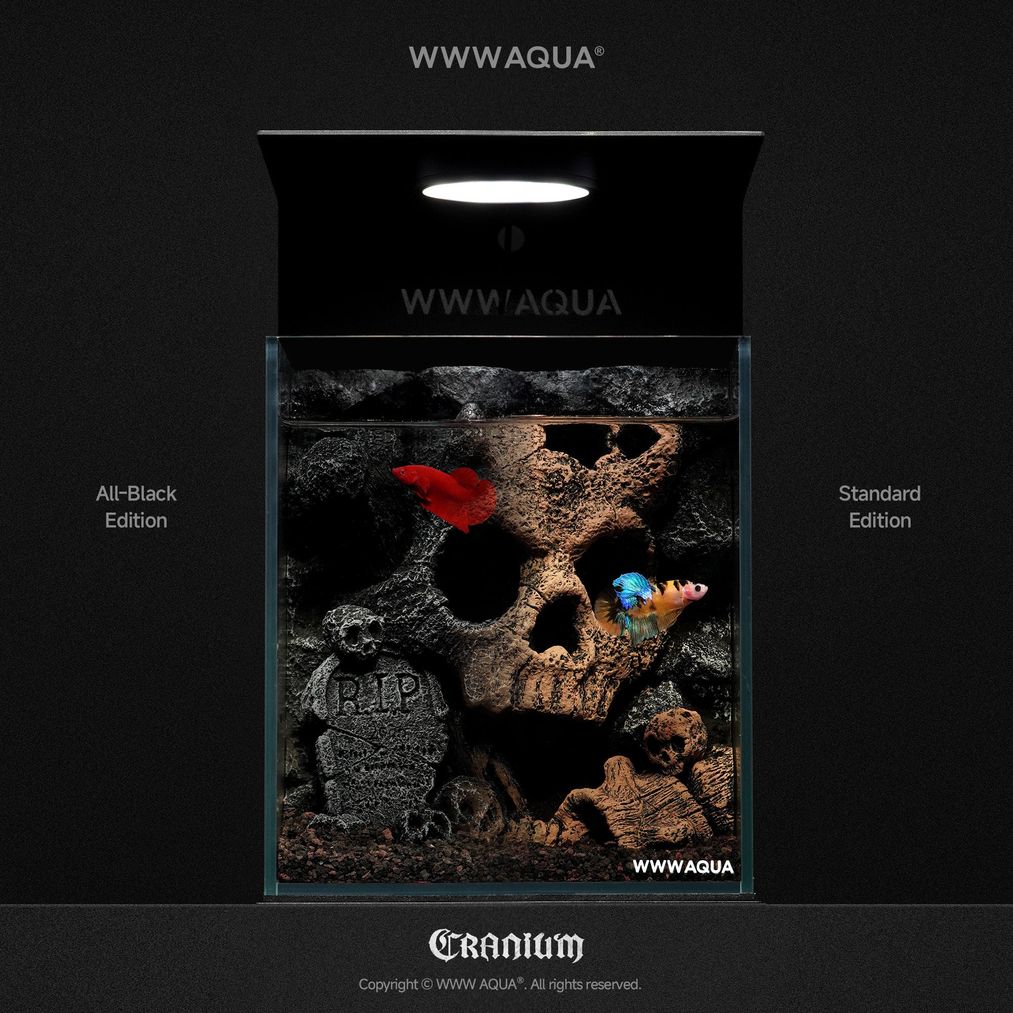 WWWAQUA｜Skull Hollow