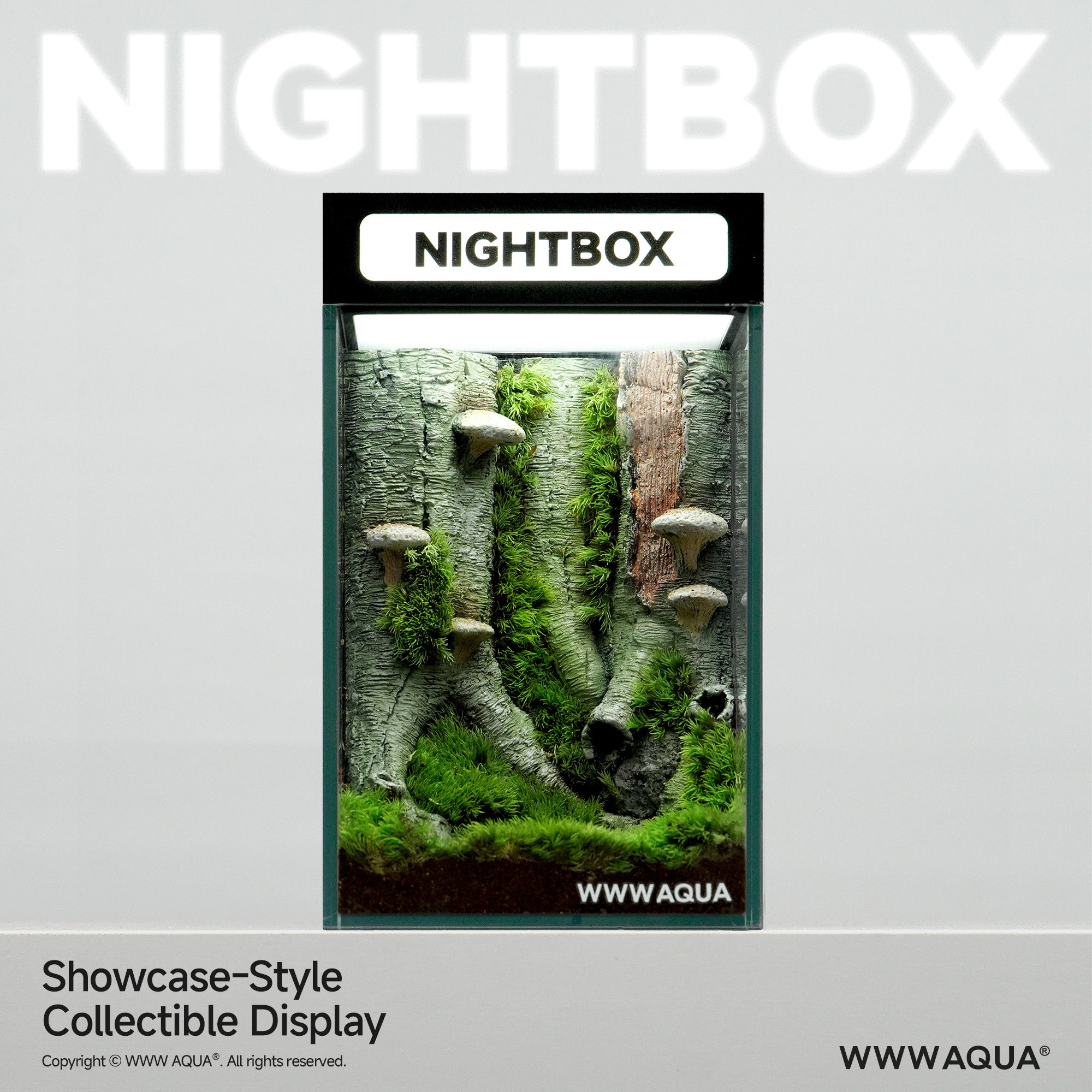 WWWAQUA | Mushroom Grove