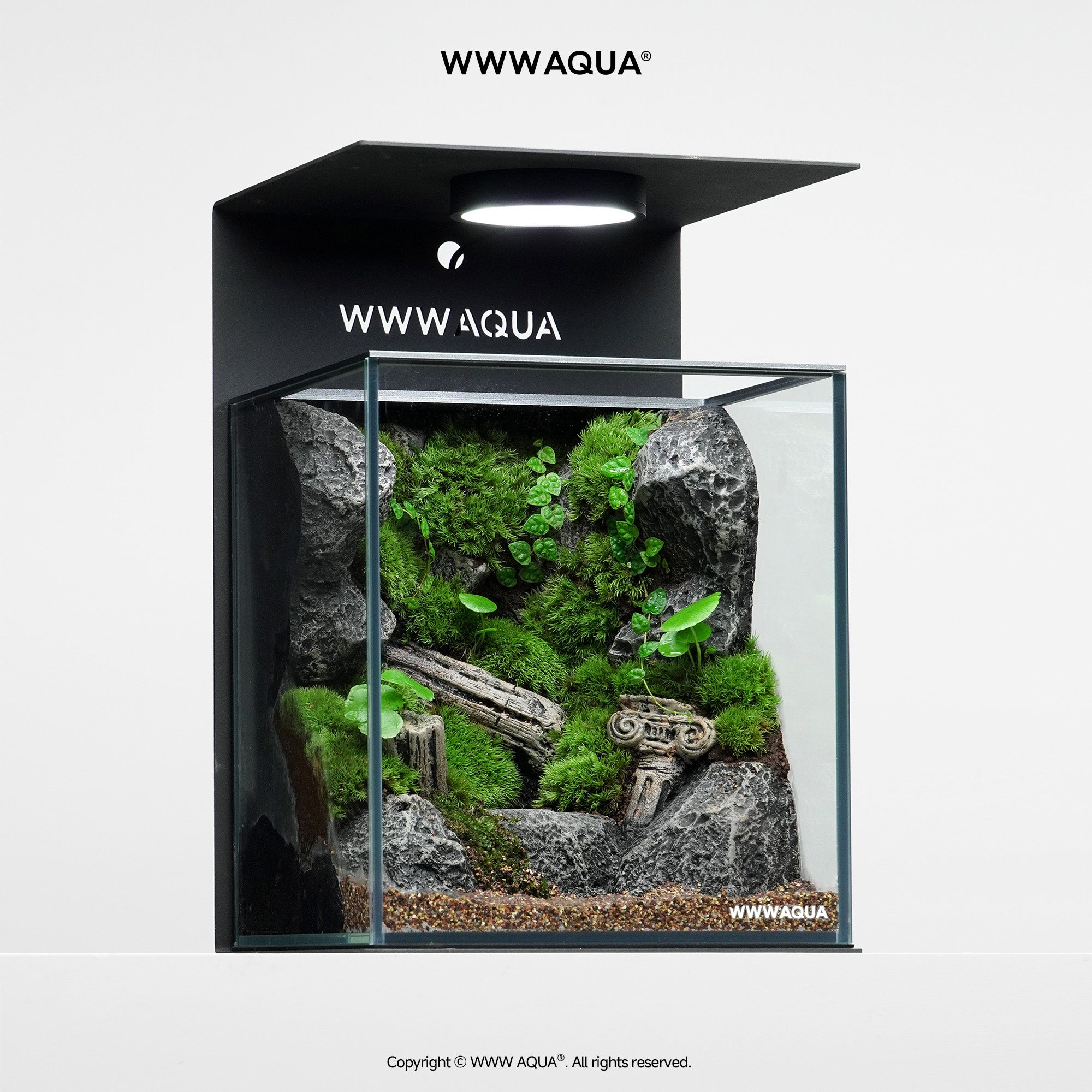 WWWAQUA｜Forgotten Sanctuary
