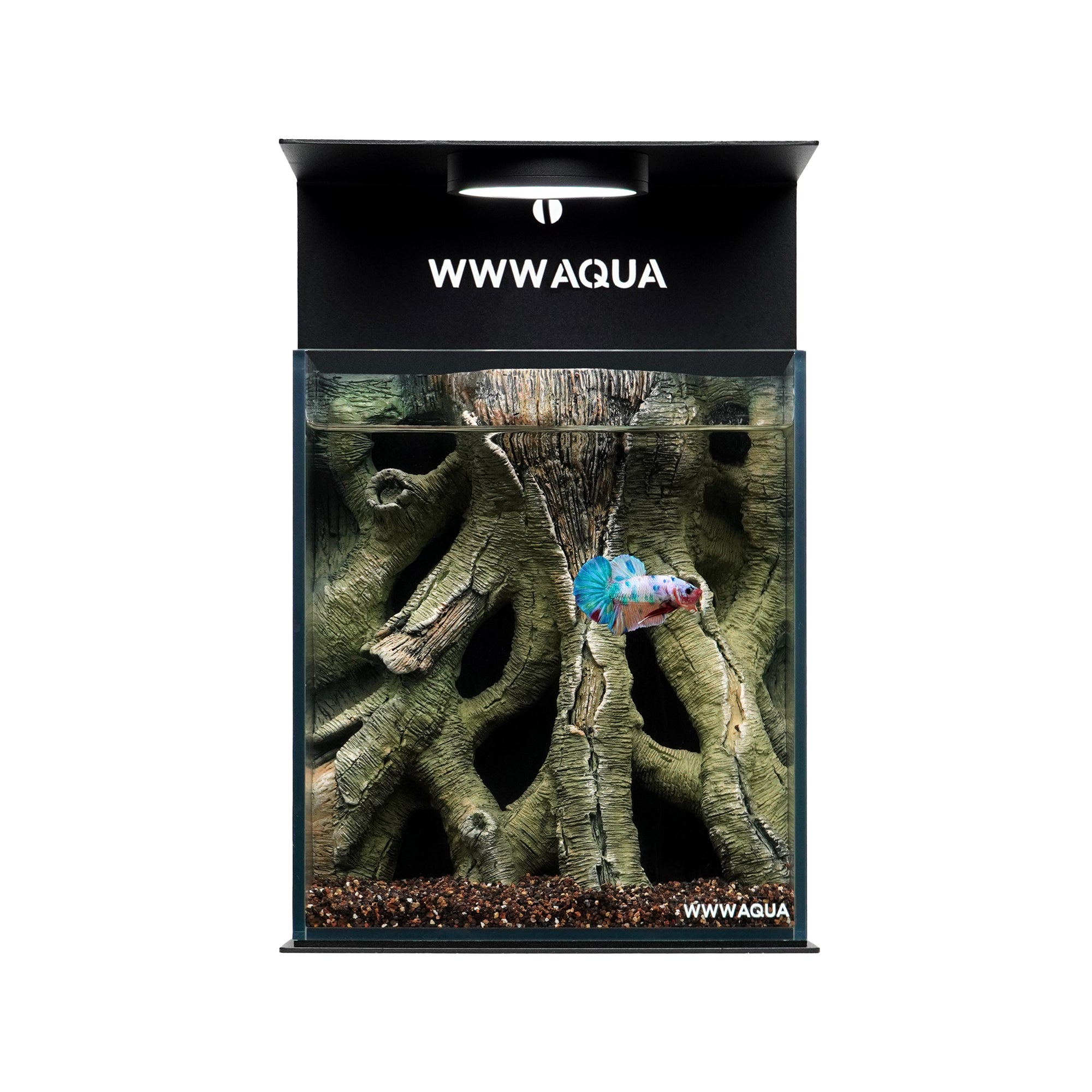 WWWAQUA｜Veins of the Grove