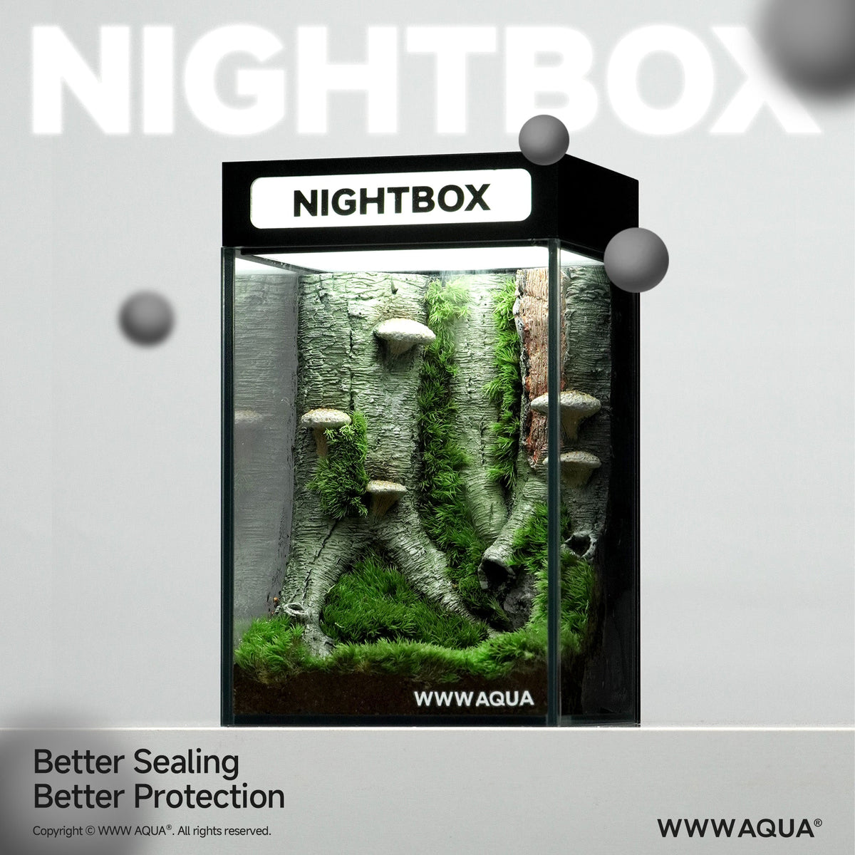 WWWAQUA | Mushroom Grove | Artistic Mini Aquarium | WWWAQUA