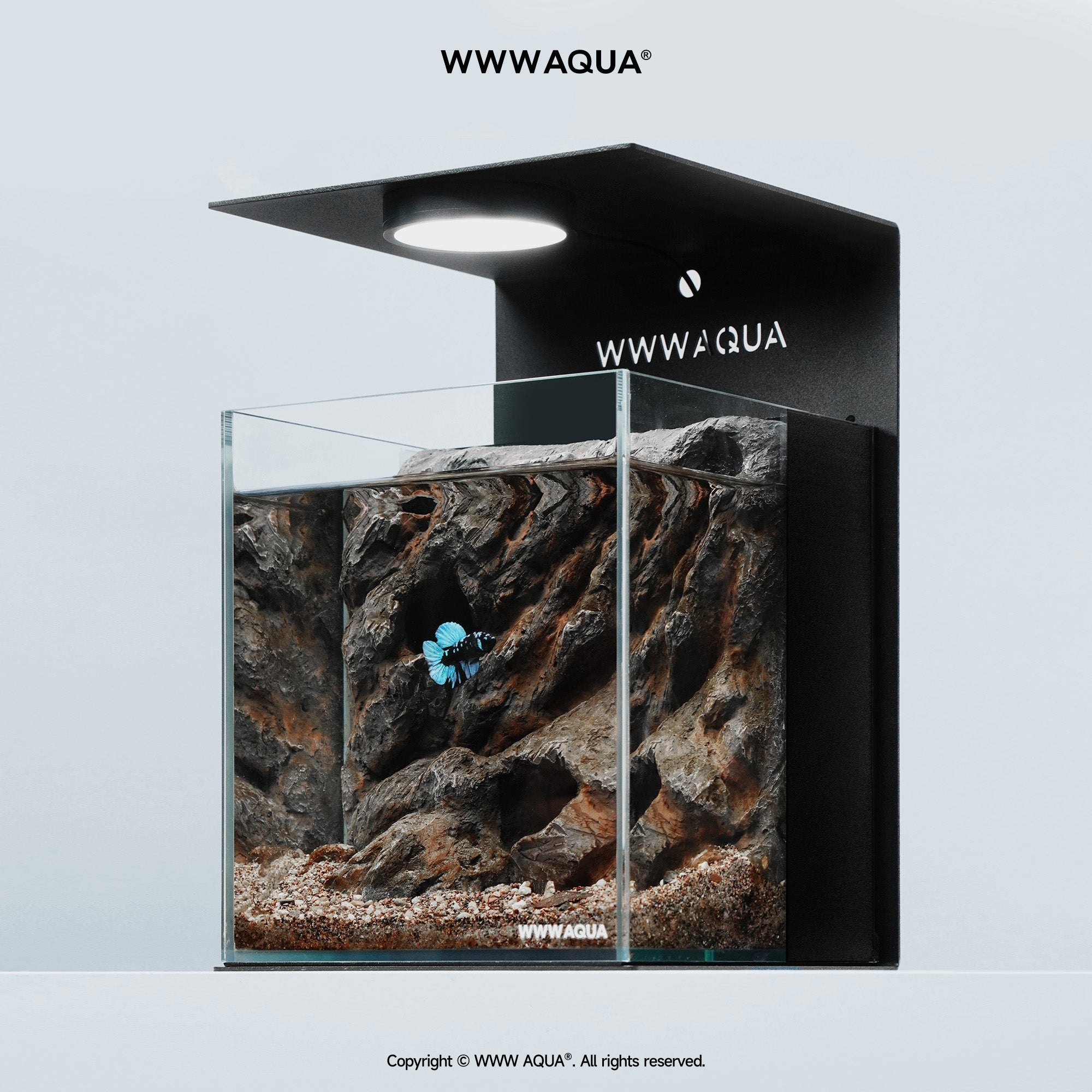 WWWAQUA｜Ashfall Silence | Artistic Mini Aquarium | WWWAQUA