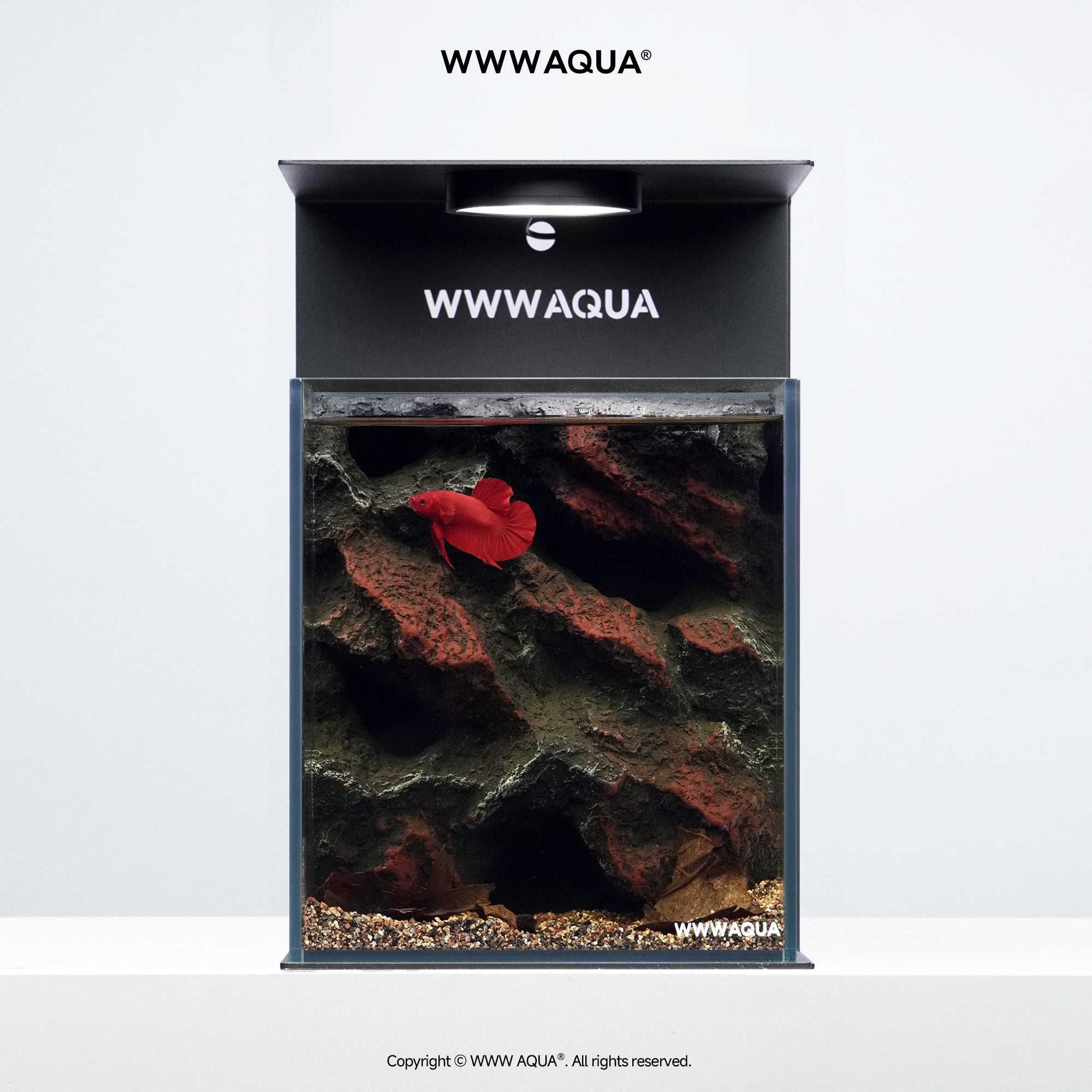 WWWAQUA｜Ashfall Silence | Artistic Mini Aquarium | WWWAQUA