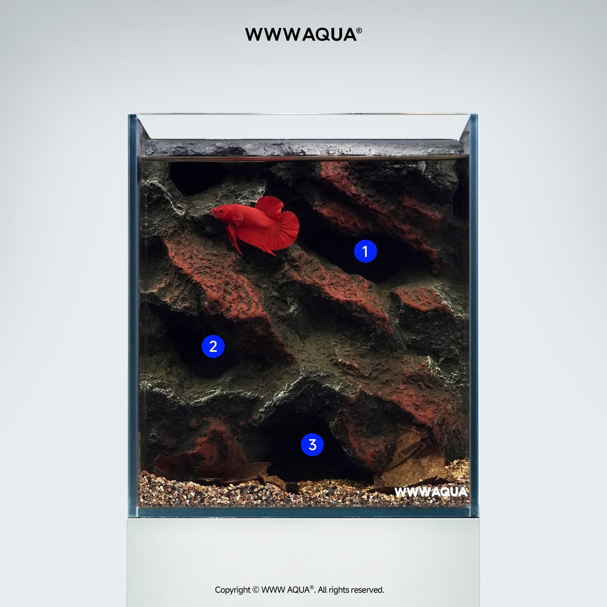 WWWAQUA｜Ashfall Silence | Artistic Mini Aquarium | WWWAQUA