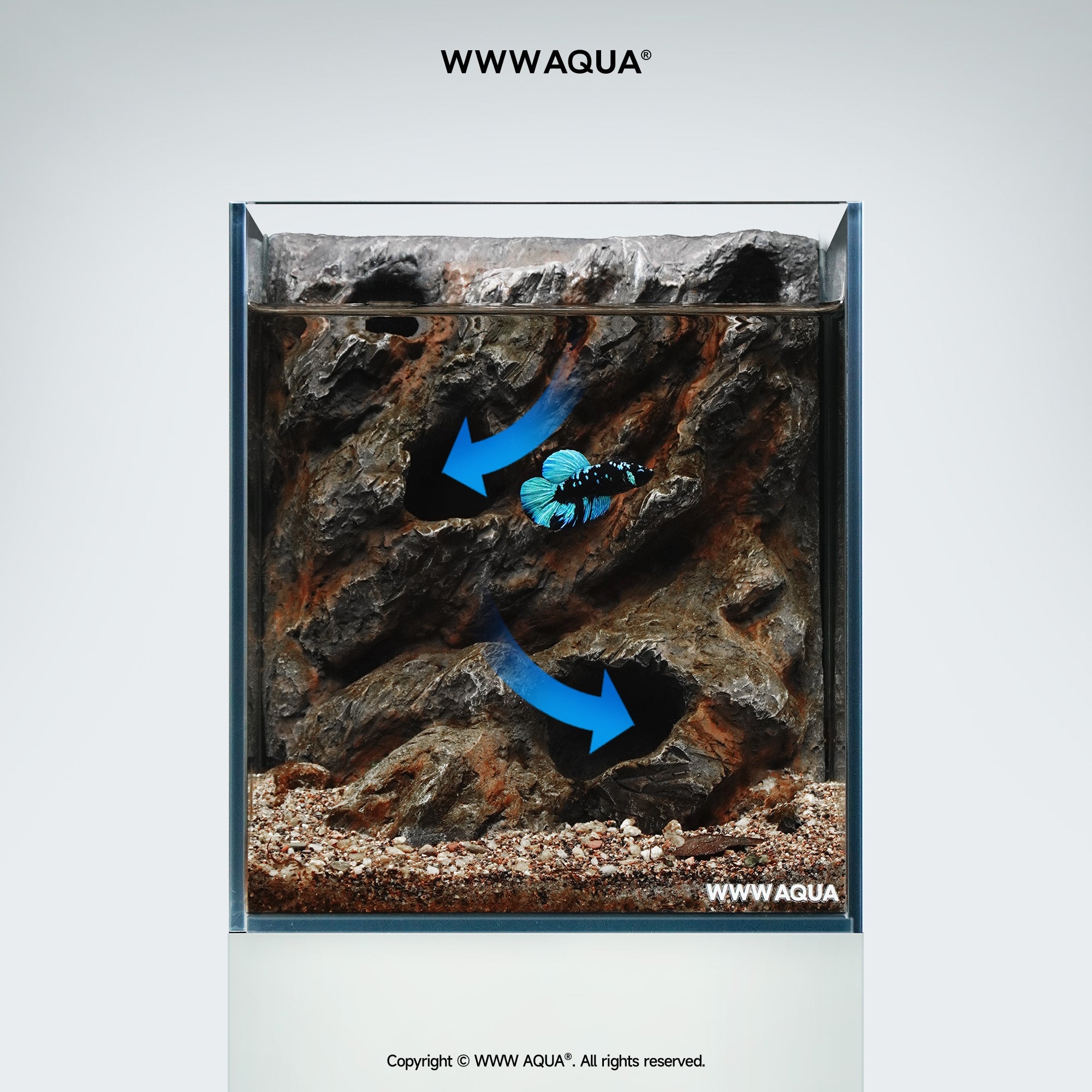 WWWAQUA｜Ashfall Silence | Artistic Mini Aquarium | WWWAQUA