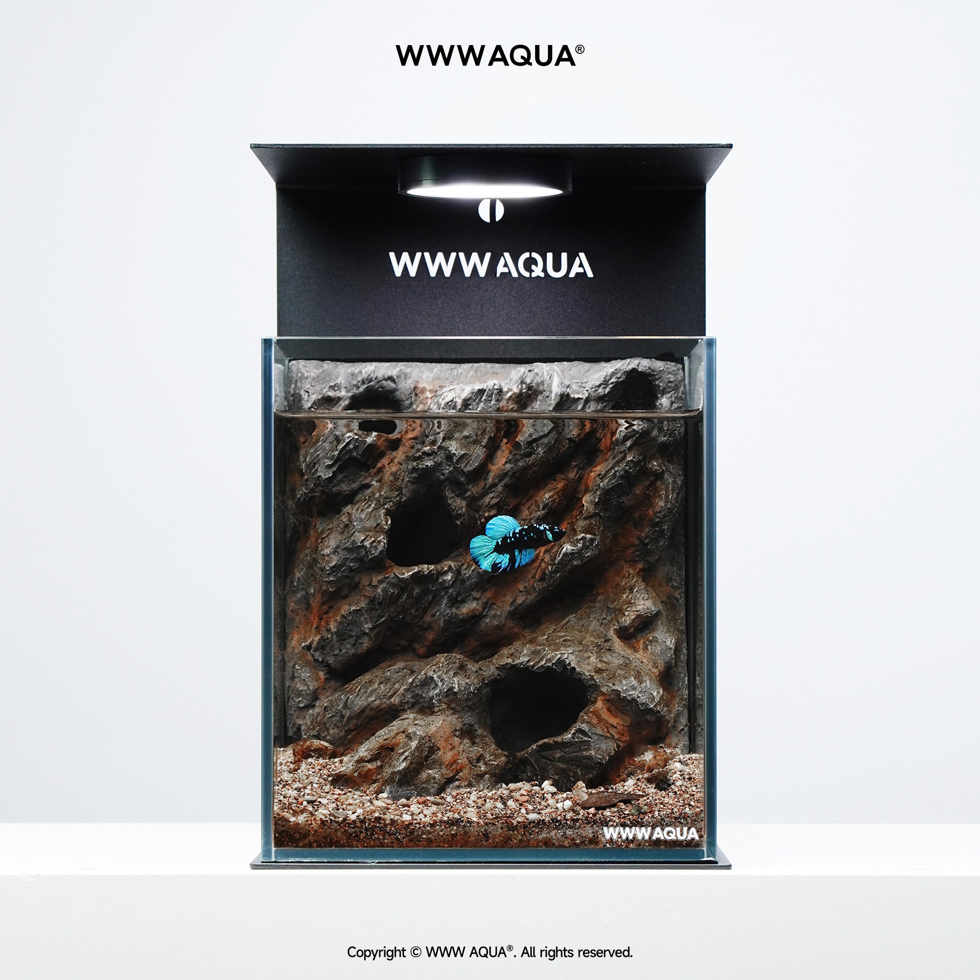 WWWAQUA｜Ashfall Silence | Artistic Mini Aquarium | WWWAQUA