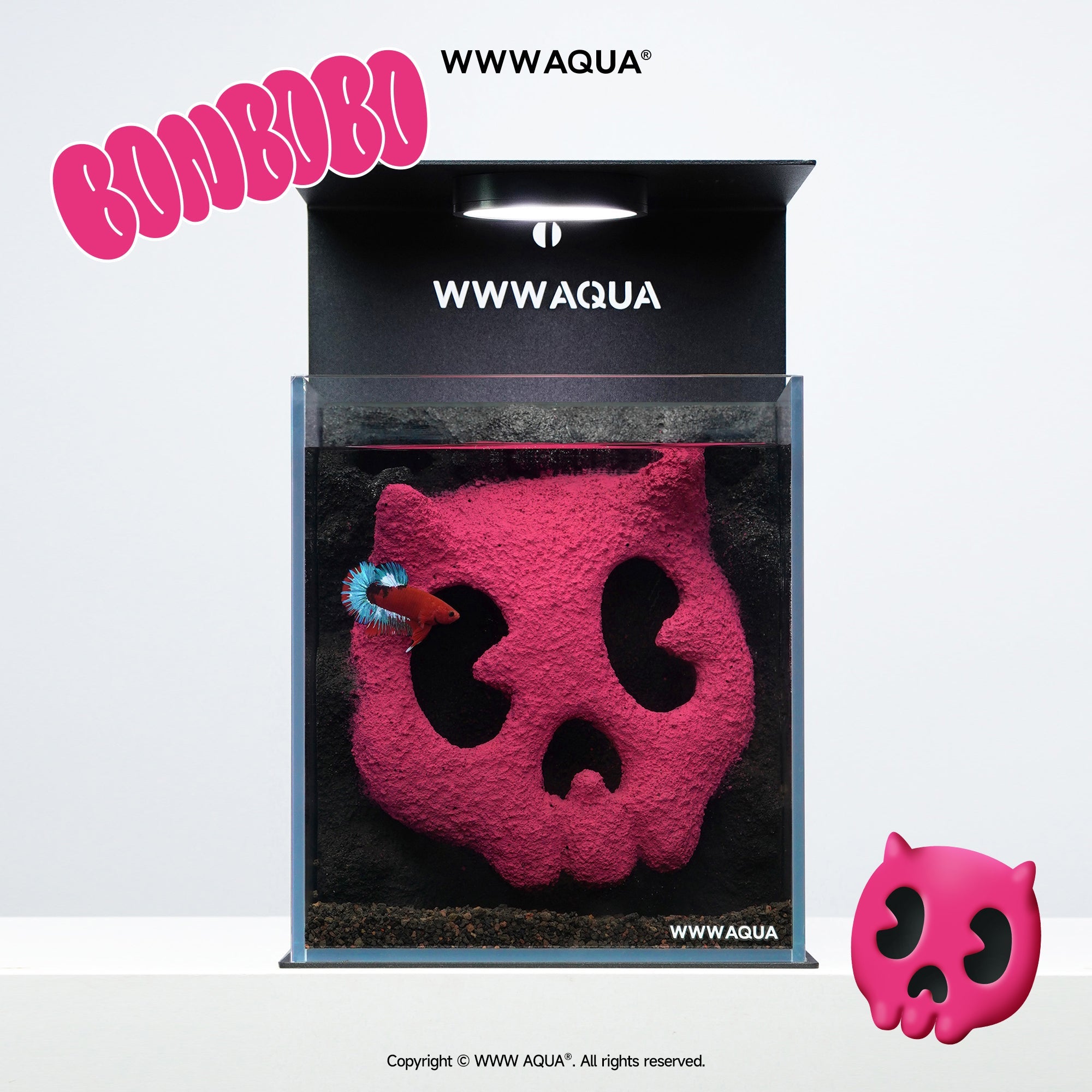 WWWAQUA｜Bonbobo | Artistic Mini Aquarium | WWWAQUA