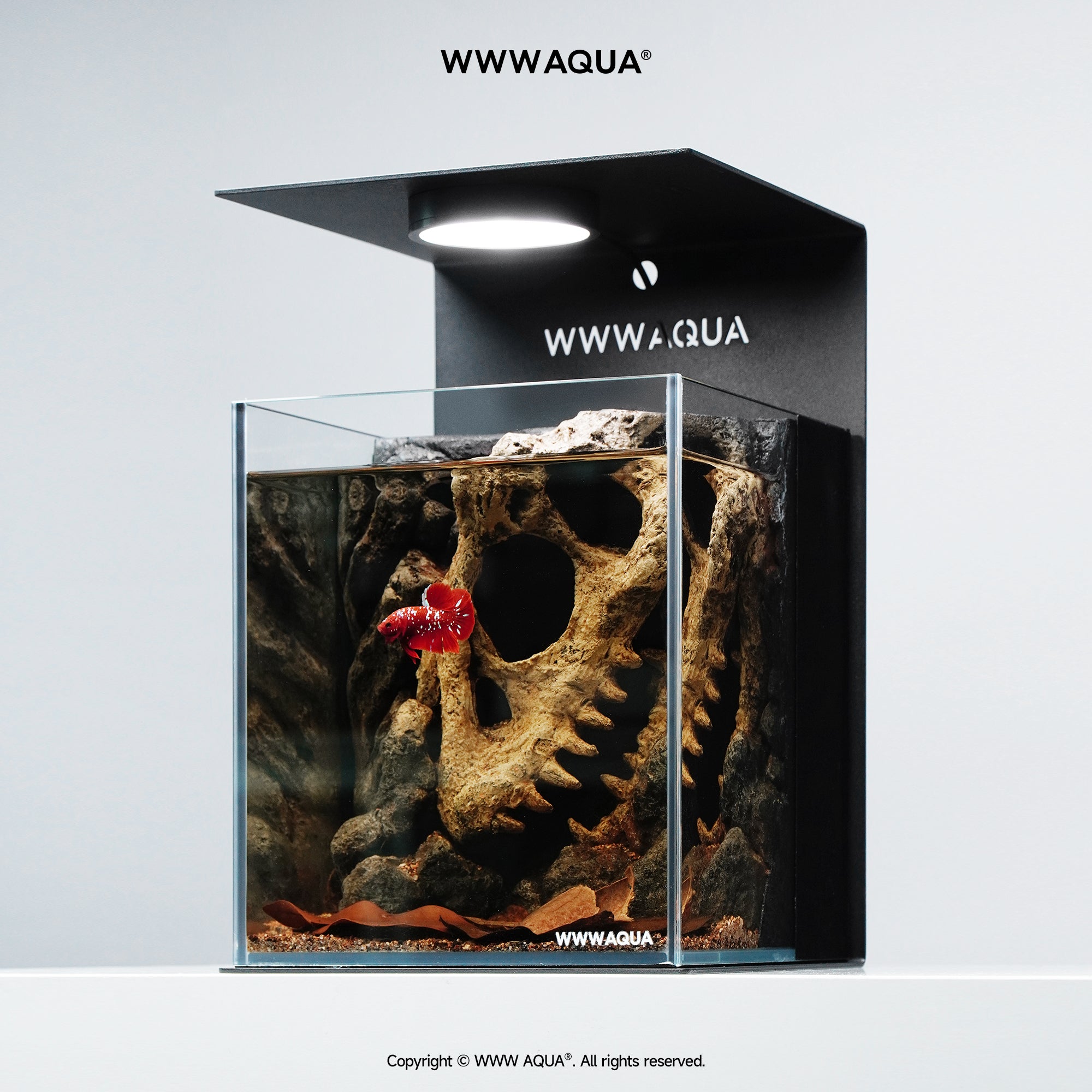 WWWAQUA｜Echo of the Ancients | Artistic Mini Aquarium | WWWAQUA