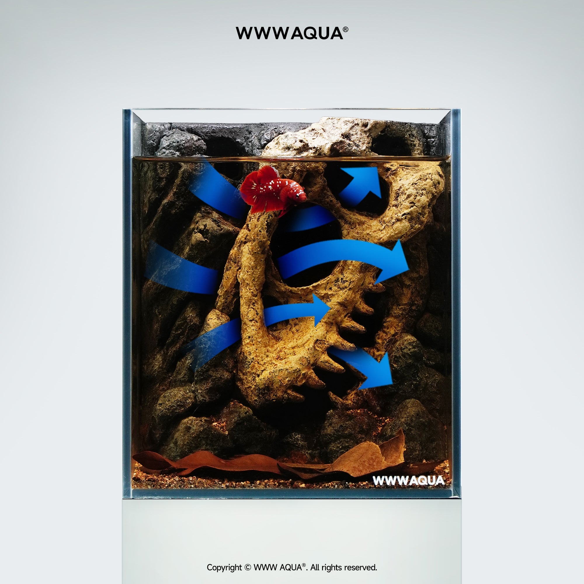 WWWAQUA｜Echo of the Ancients | Artistic Mini Aquarium | WWWAQUA
