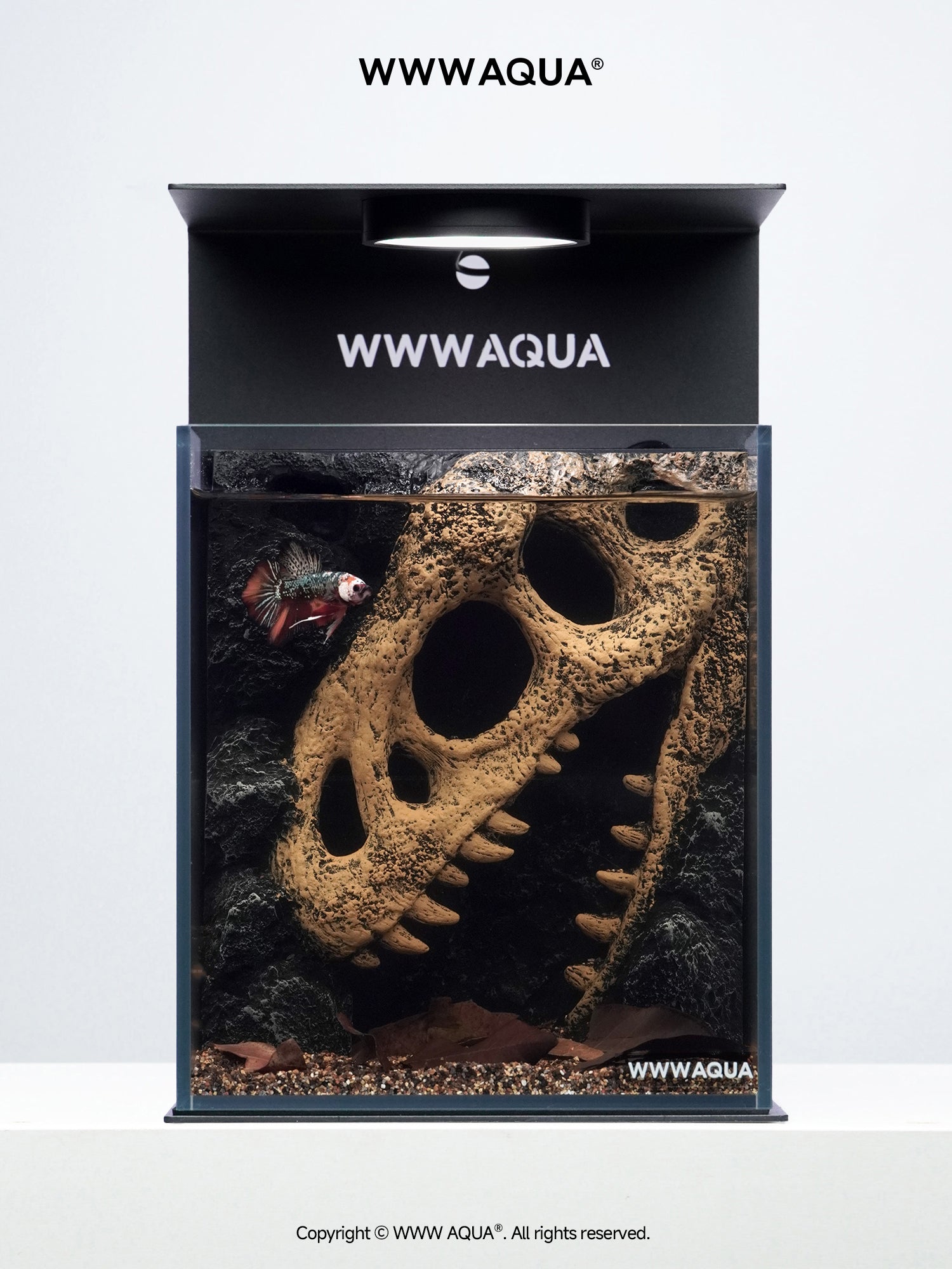 WWWAQUA｜Echo of the Ancients | Artistic Mini Aquarium | WWWAQUA
