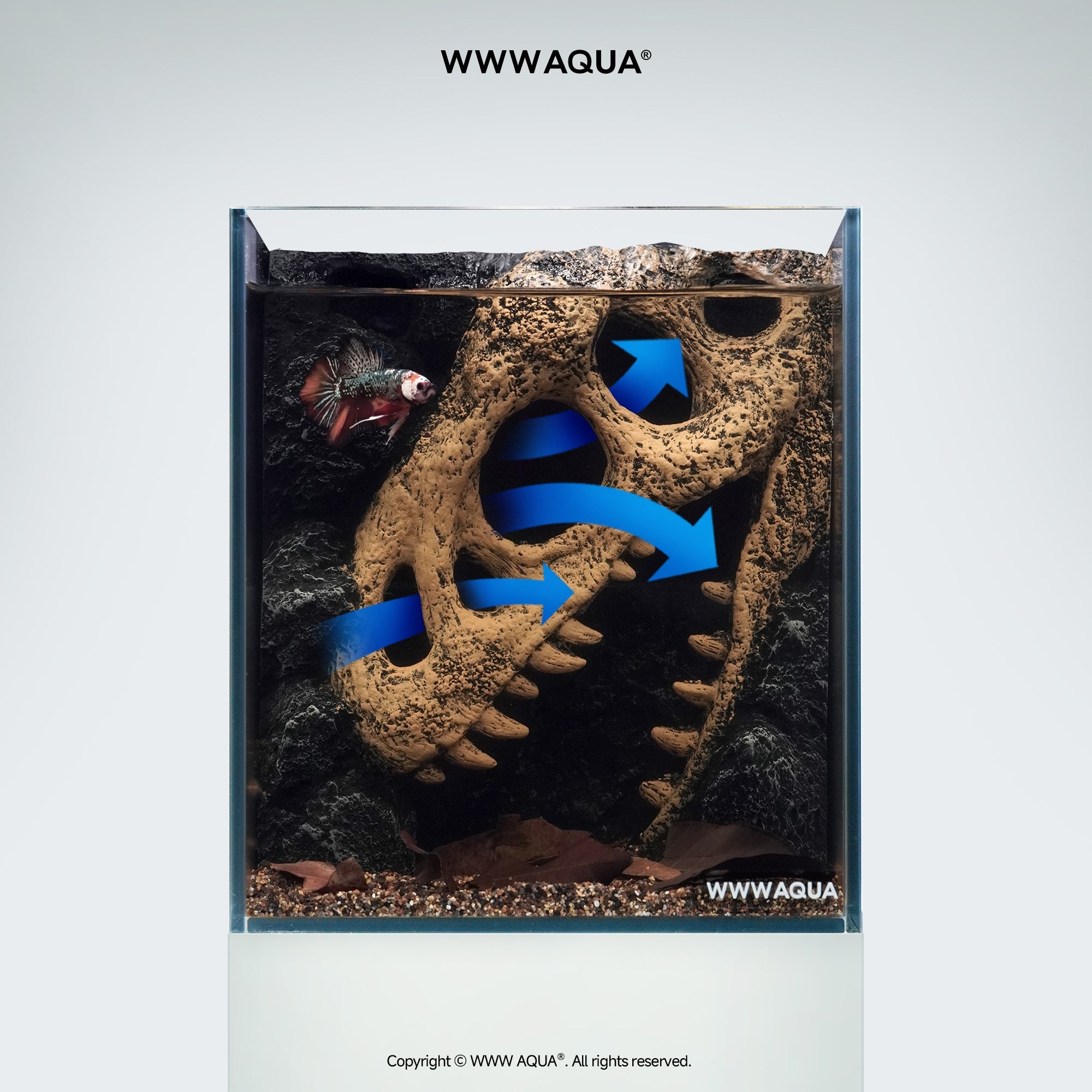 WWWAQUA｜Echo of the Ancients | Artistic Mini Aquarium | WWWAQUA