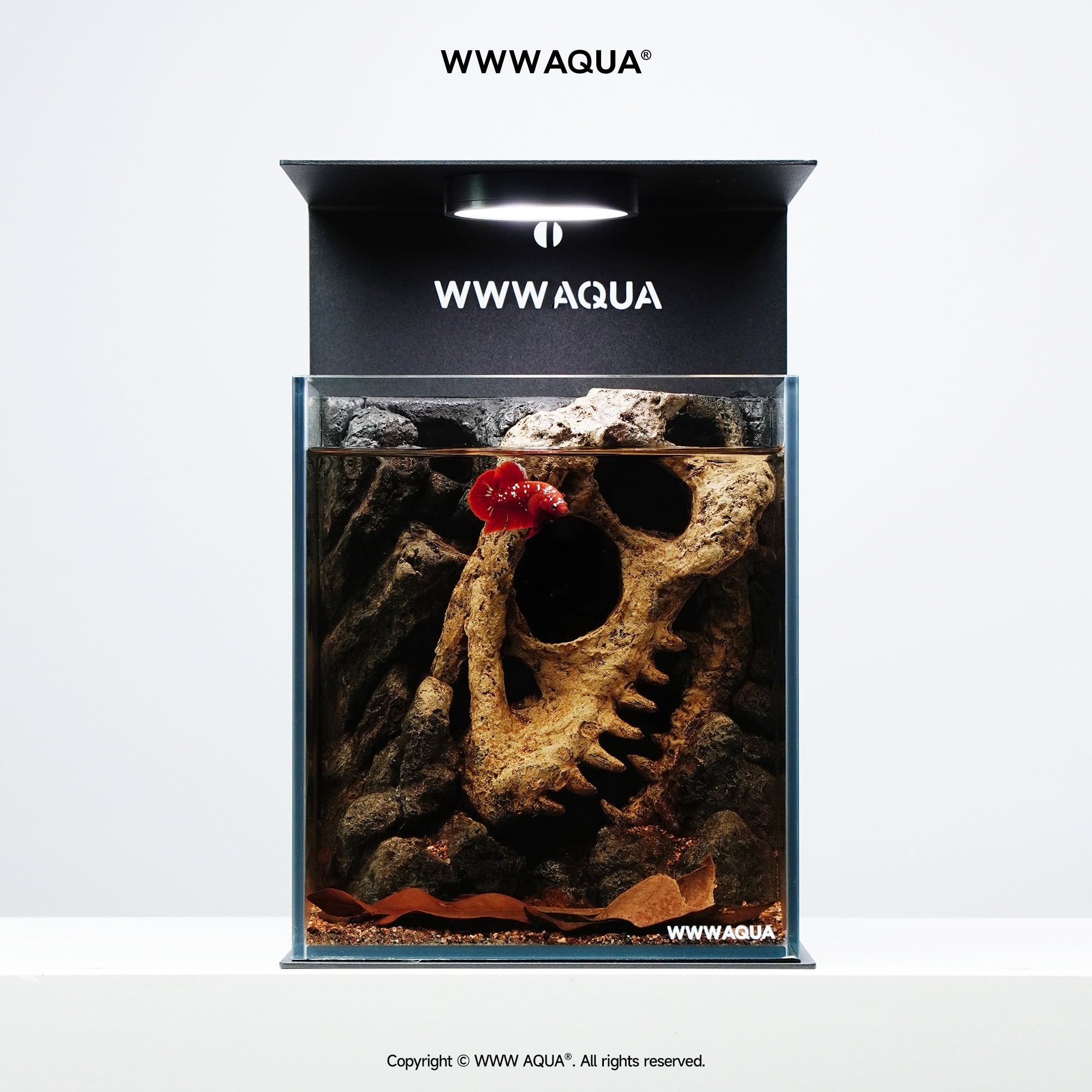 WWWAQUA｜Echo of the Ancients | Artistic Mini Aquarium | WWWAQUA