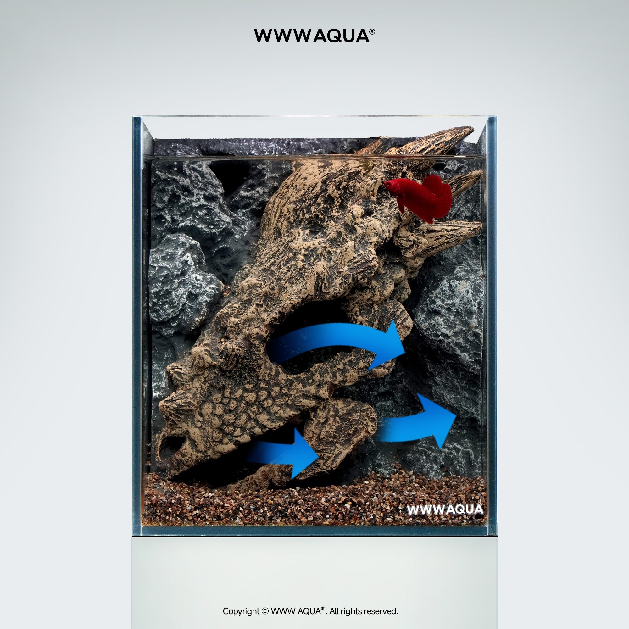 WWWAQUA｜Guardian Fossil | Artistic Mini Aquarium | WWWAQUA
