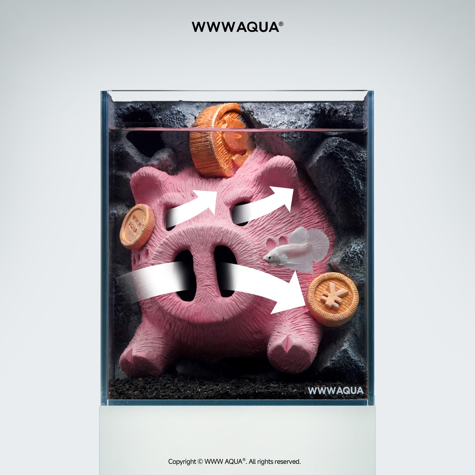 WWWAQUA｜Lucky Piglet | Artistic Mini Aquarium | WWWAQUA