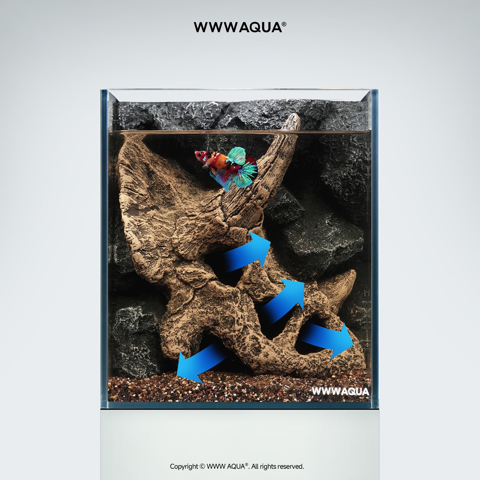 WWWAQUA｜Petal Fossil | Artistic Mini Aquarium | WWWAQUA