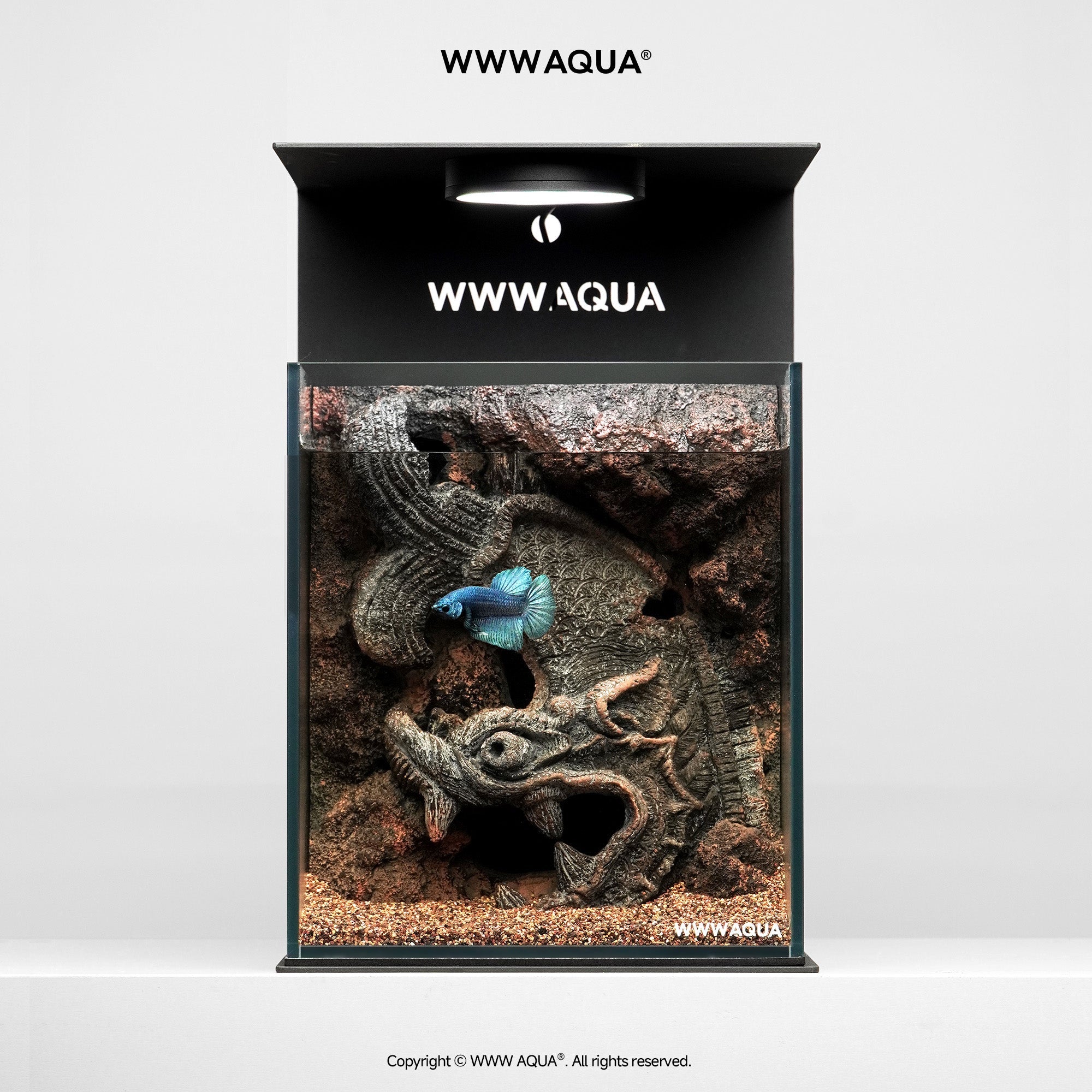 WWWAQUA｜Ridge Guardian | Artistic Mini Aquarium | WWWAQUA